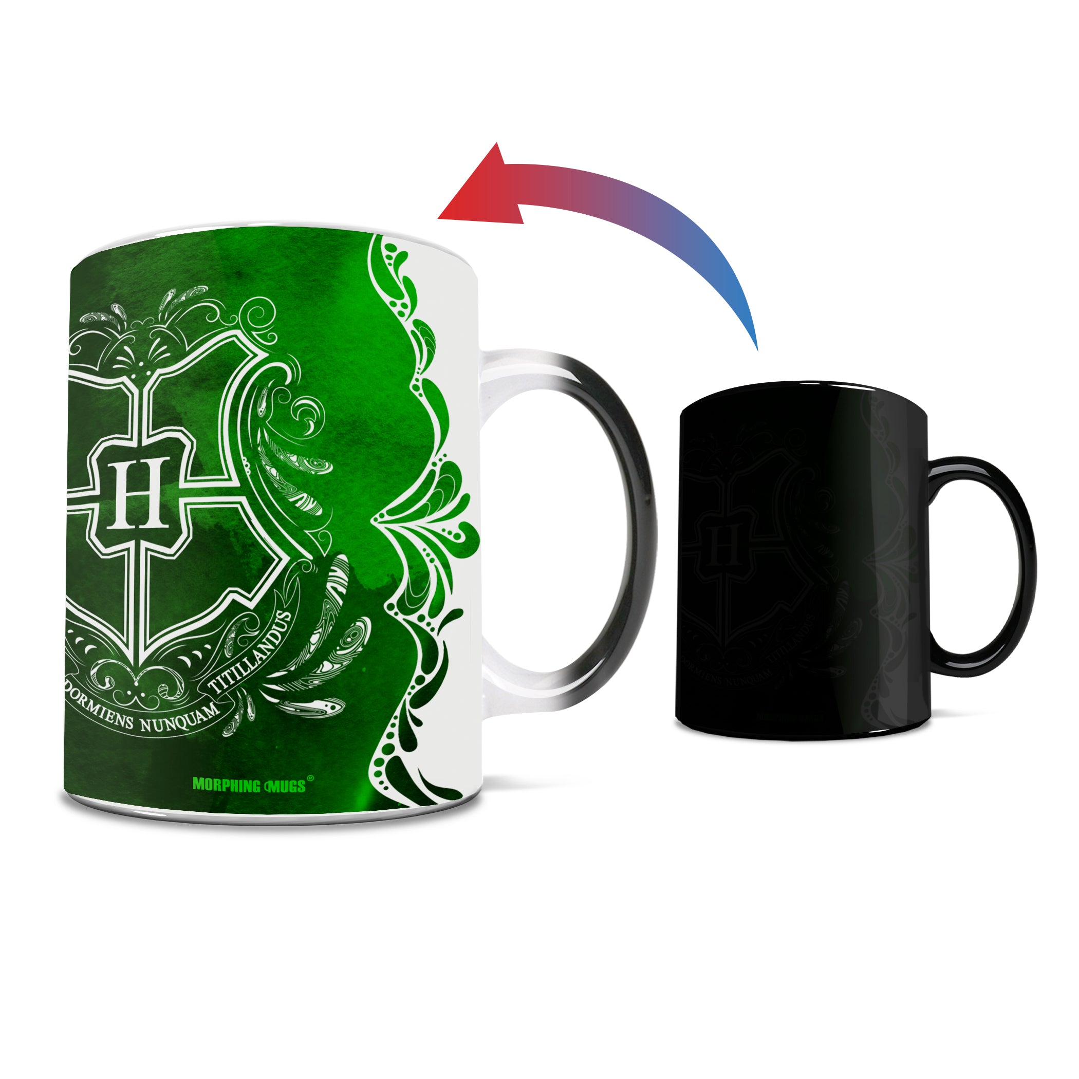 Harry Potter (Slytherin - Aguamenti) Morphing Mugs®  Heat-Sensitive Mug MMUG995