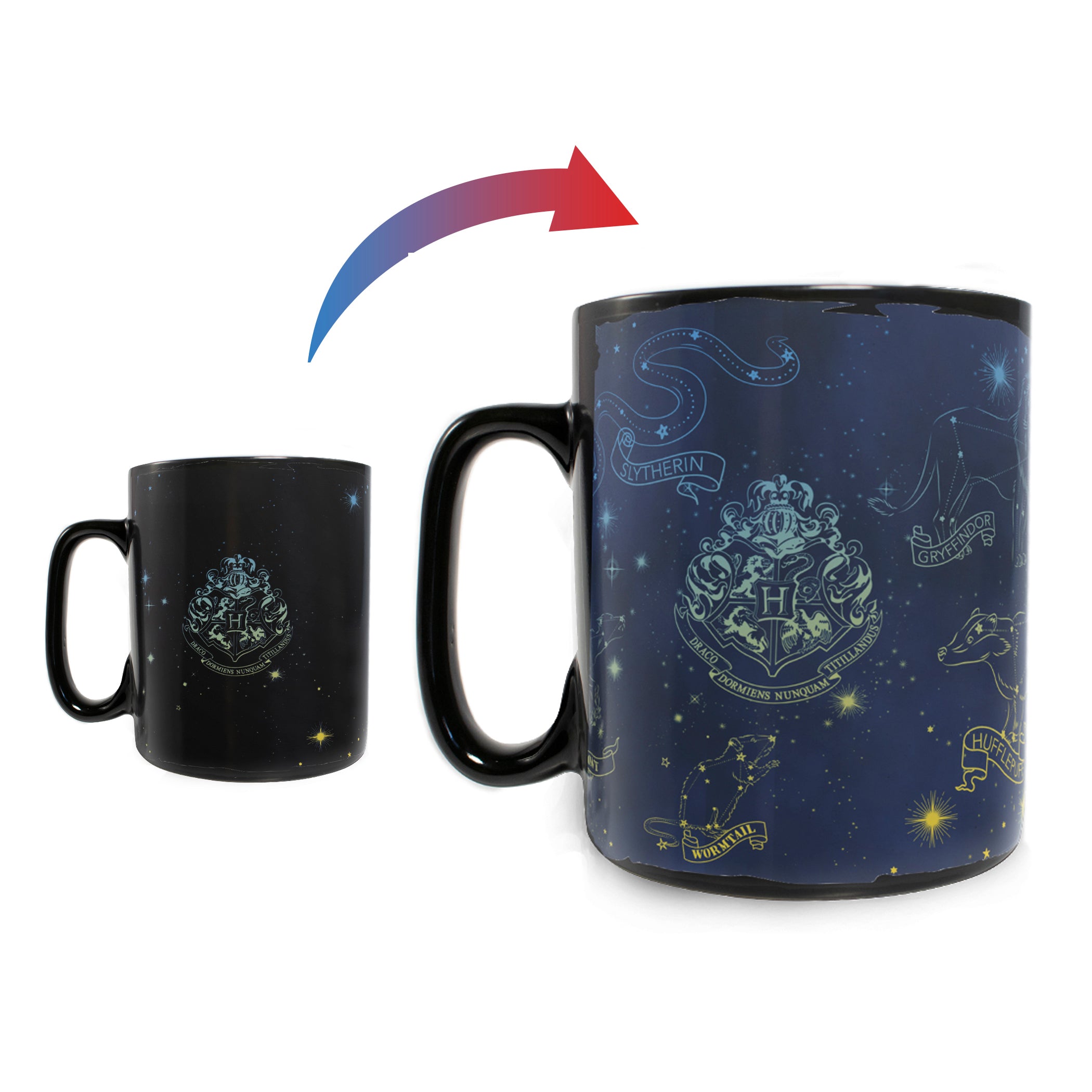 Harry Potter (Hogwarts Constellations) Morphing Mugs® Heat-Sensitive Clue Mug MMUGC942