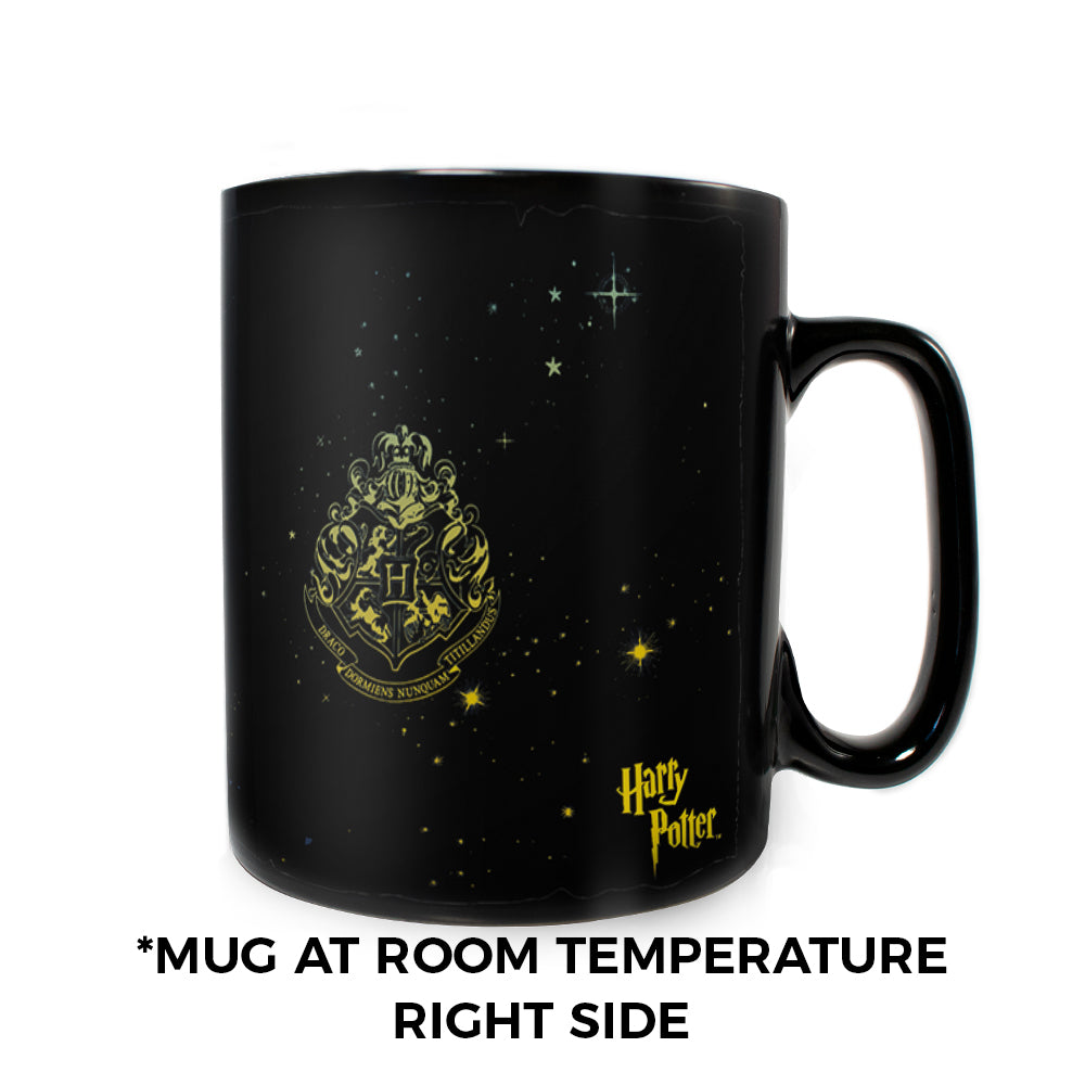 (Back Order Till Mid-2025) Harry Potter (Hogwarts Constellations) Morphing Mugs® Heat-Sensitive Clue Mug MMUGC942