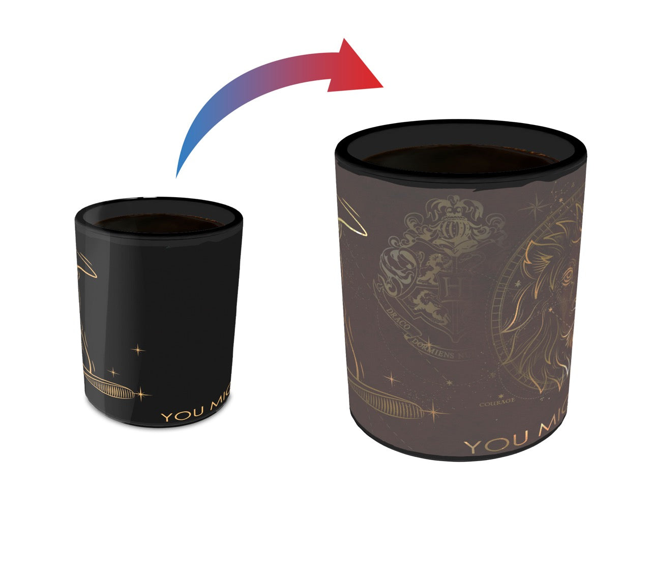 Harry Potter (Celestial House - Gryffindor) Morphing Mugs® Heat-Sensitive Clue Mug MMUGC943