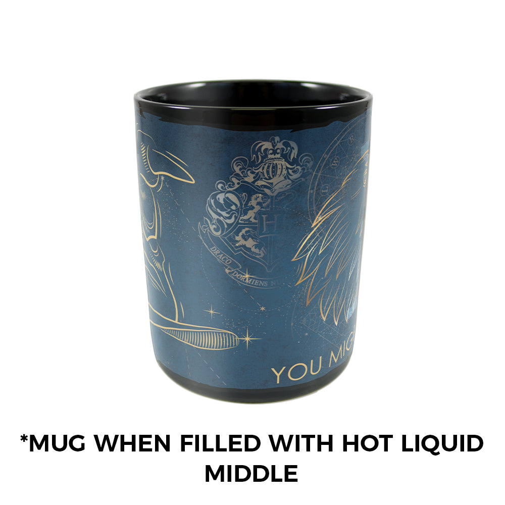 (Back Order Till Mid-2025) Harry Potter (Celestial House - Ravenvclaw) Morphing Mugs® Heat-Sensitive Clue Mug MMUGC944