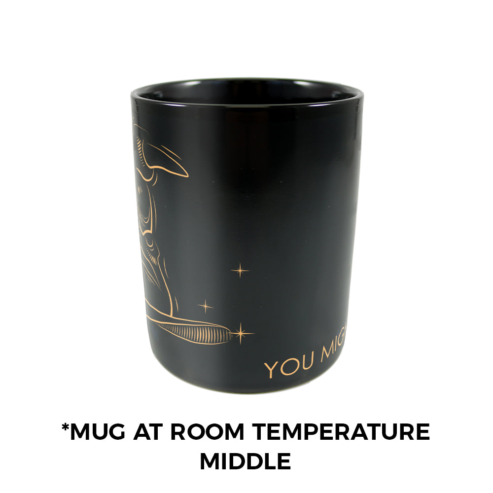 (Back Order Till Mid-2025) Harry Potter (Celestial House - Ravenvclaw) Morphing Mugs® Heat-Sensitive Clue Mug MMUGC944