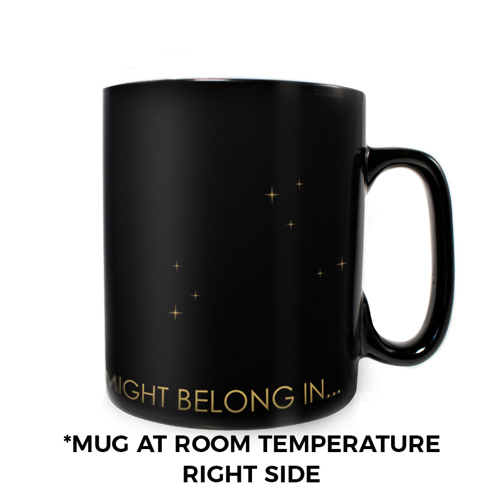 (Back Order Till Mid-2025) Harry Potter (Celestial House - Ravenvclaw) Morphing Mugs® Heat-Sensitive Clue Mug MMUGC944