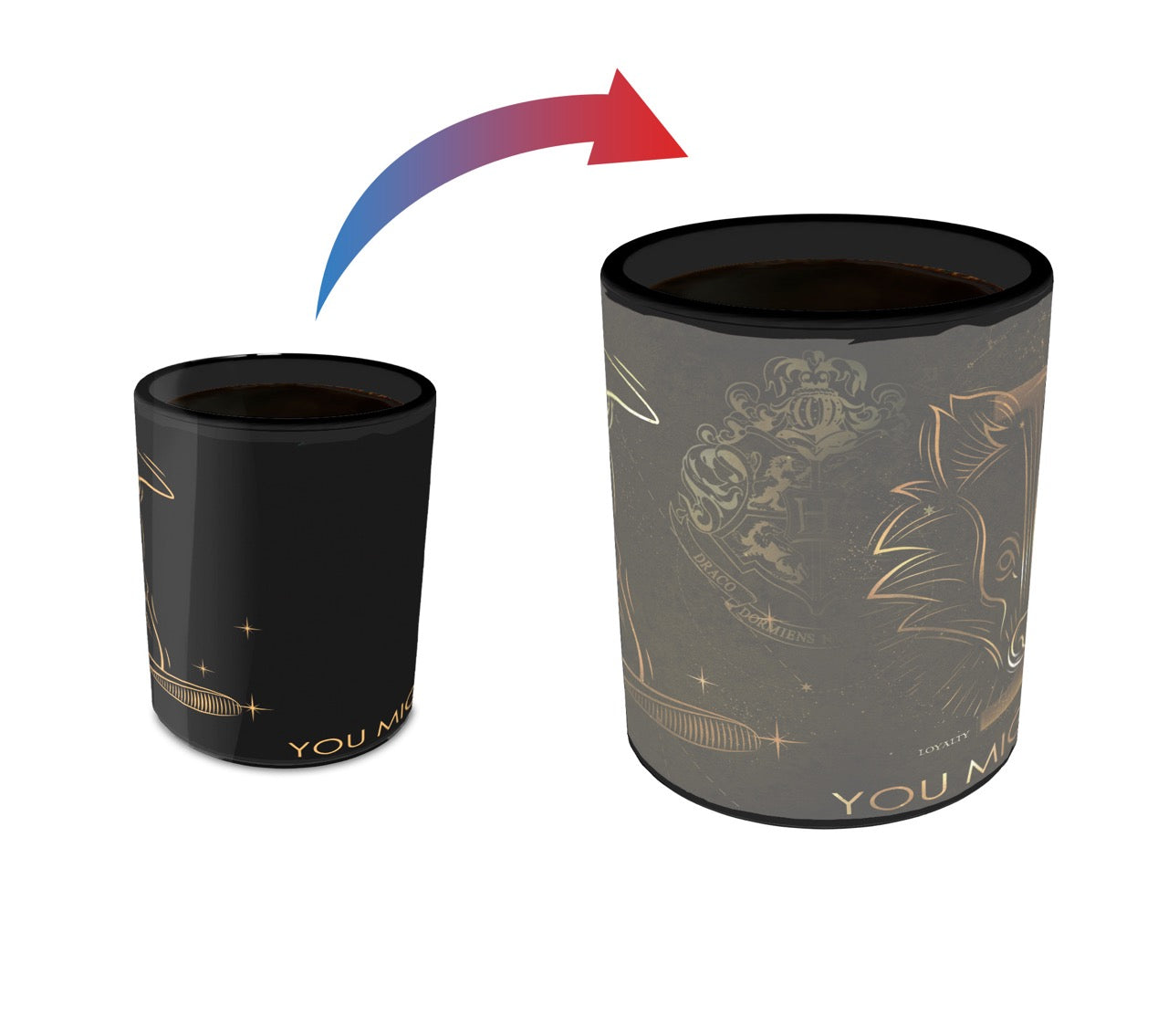 Harry Potter (Celestial House - Hufflepuff) Morphing Mugs® Heat-Sensitive Clue Mug MMUGC945