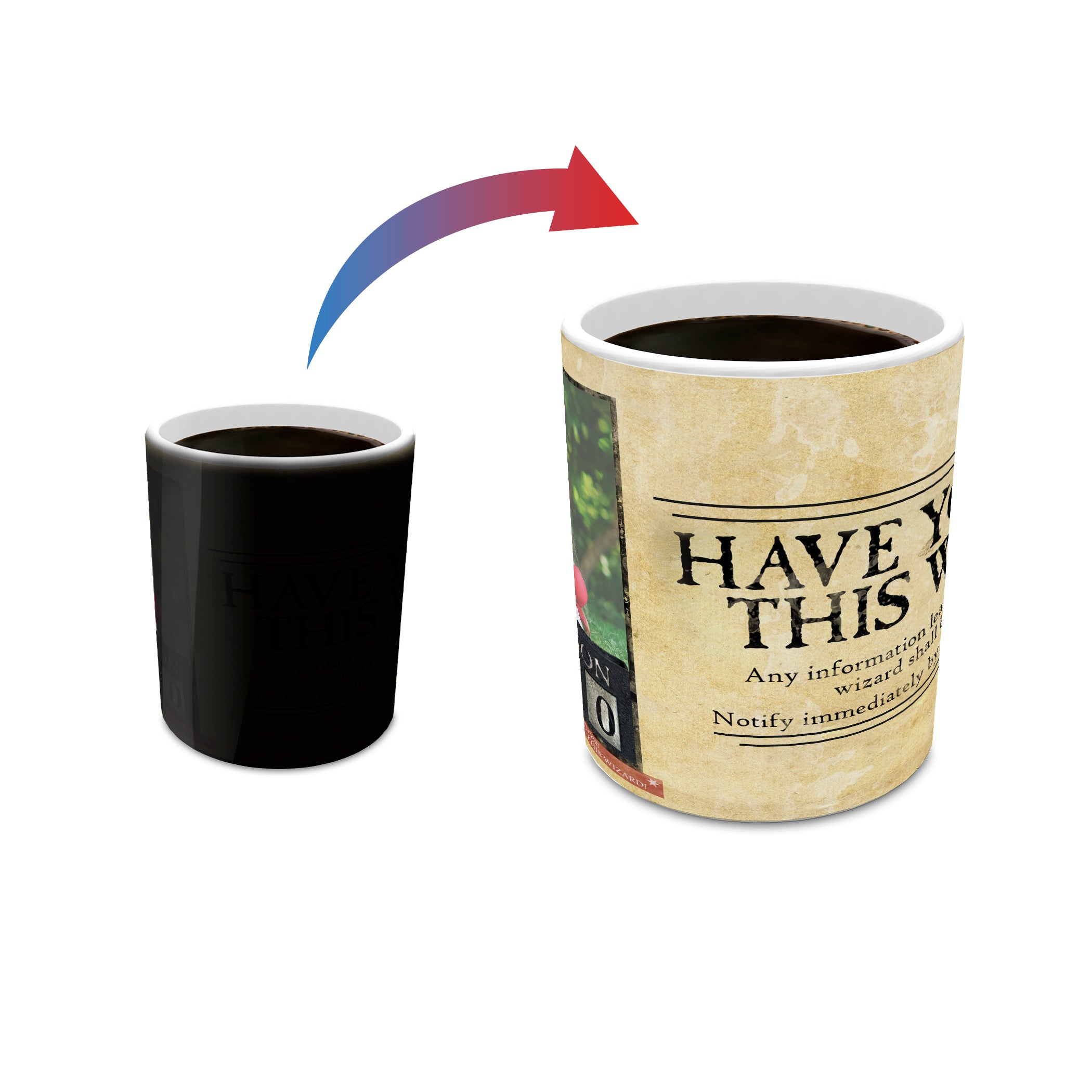 Harry Potter (Wanted Wizard - Add Your Image!) Morphing Mugs® Heat-Sensitive Mug MMUGU310