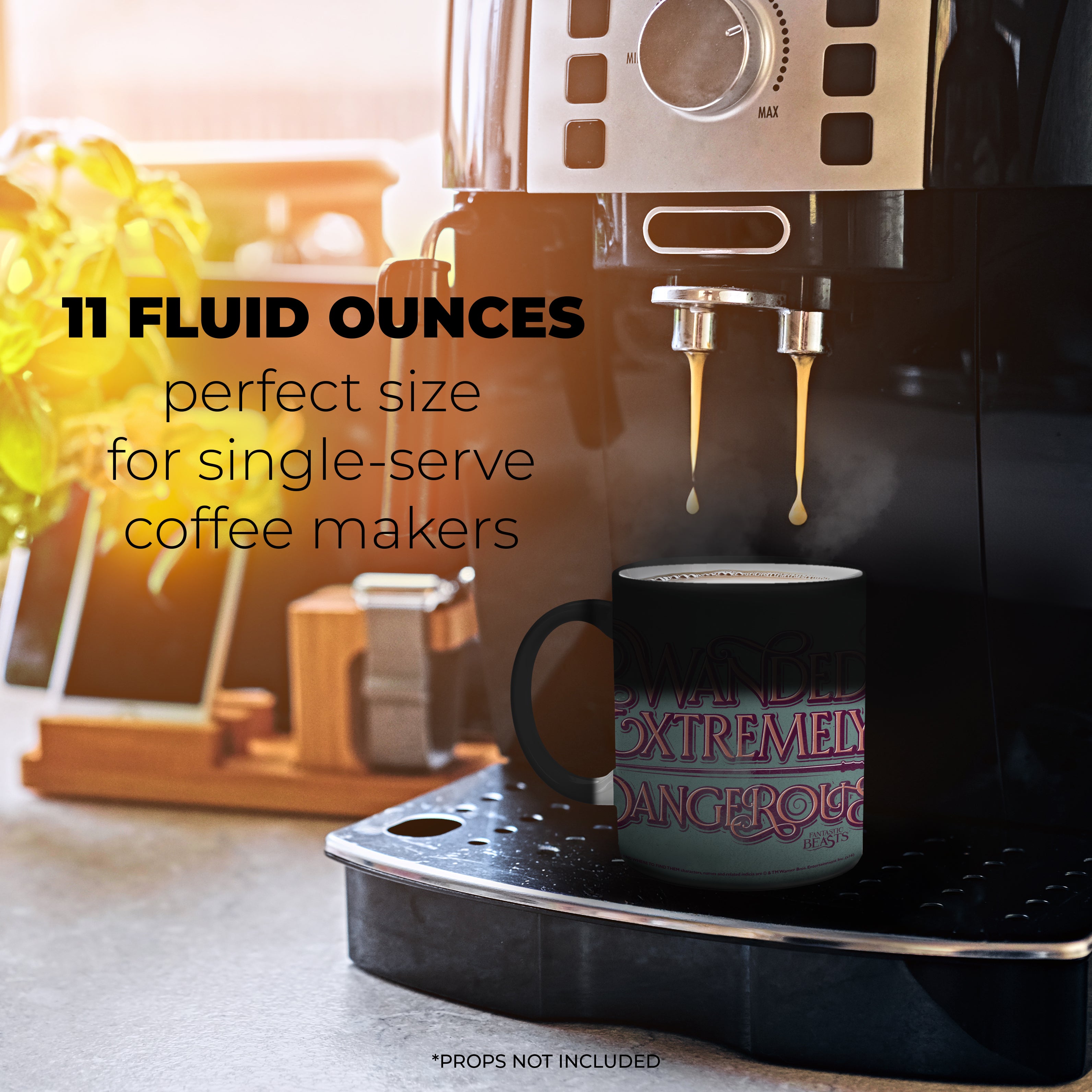 Fantastic Beasts and Where To Find Them (Wanded and Dangerous - Personalized) Morphing Mugs® Heat-Sensitive Mug MMUGU486