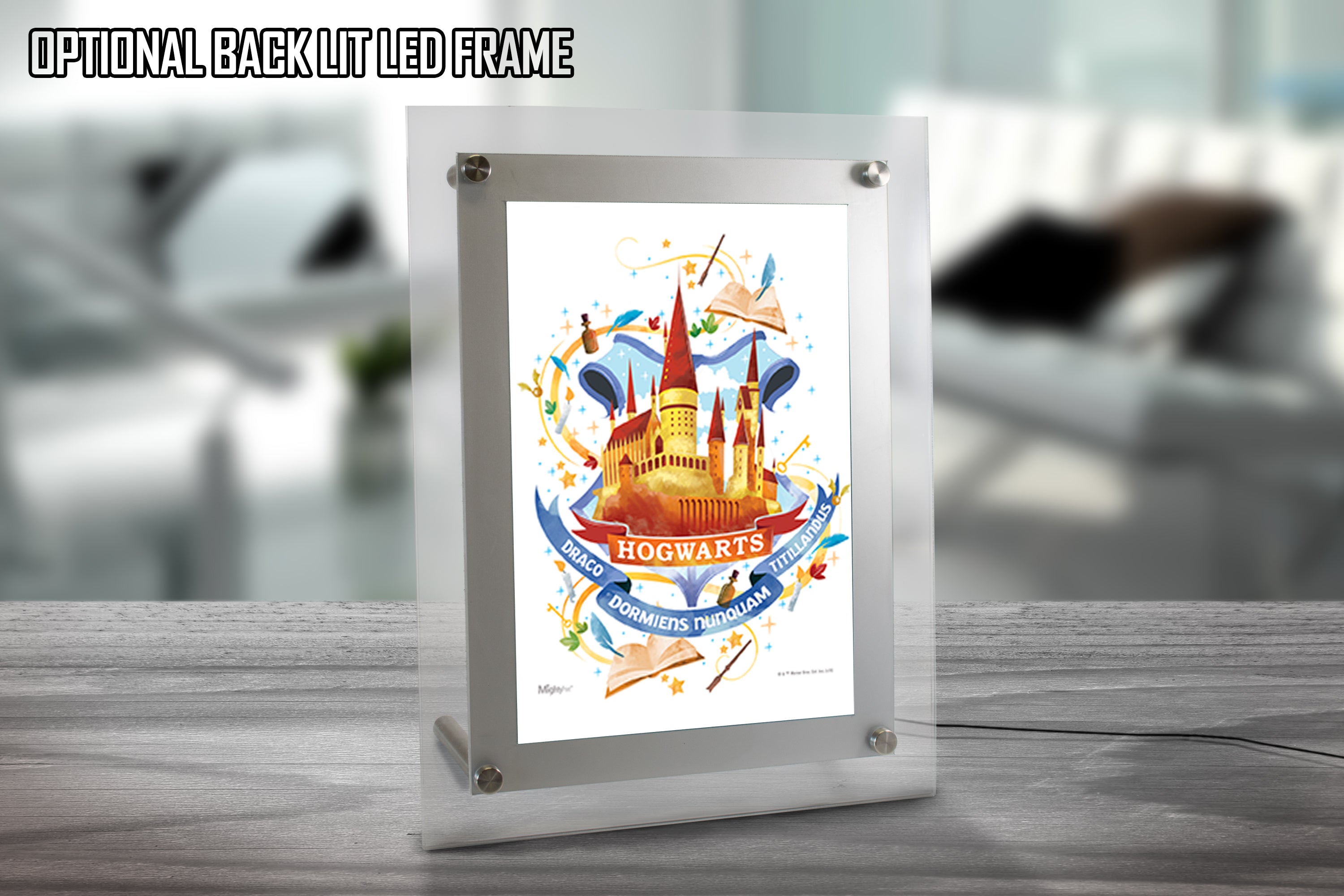 Harry Potter (Hogwarts Watercolor) MightyPrint™ Wall Art MP08100454