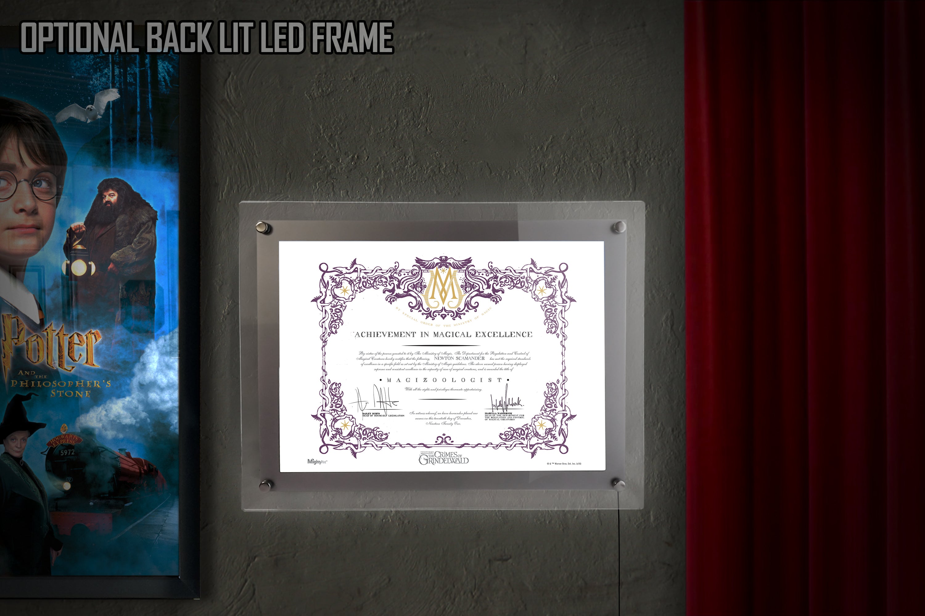 Fantastic Beasts: The Crimes of Grindelwald (Magizoologist Certificate) MightyPrint™ Wall Art MP08100505