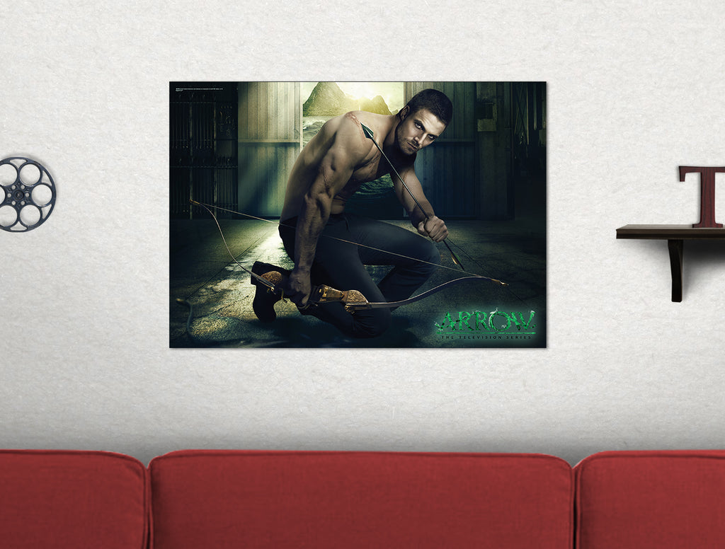 Arrow (Oliver Squatting) MightyPrint™ Wall Art MP24170138