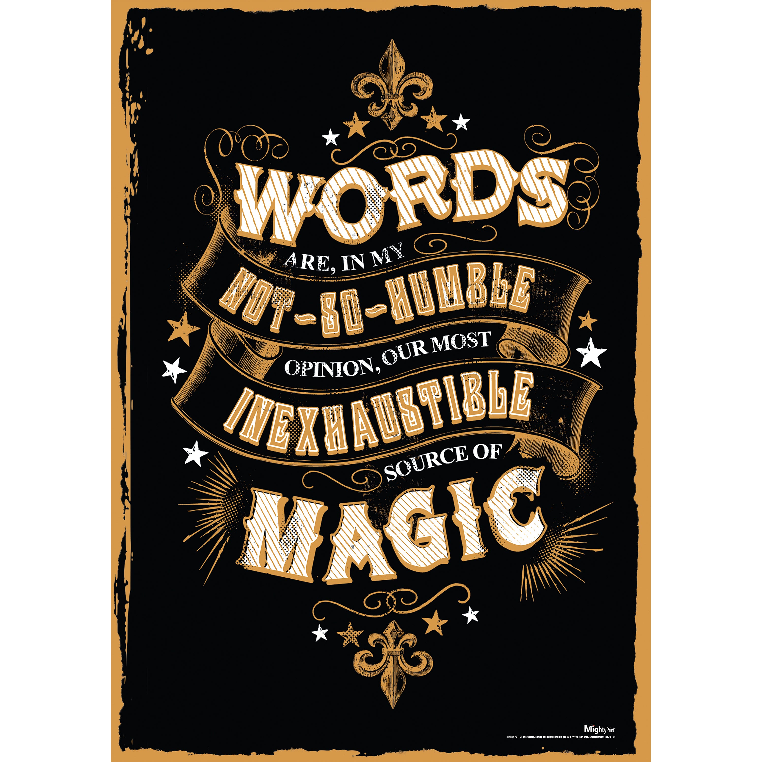Harry Potter (Magic Words) MightyPrint™ Wall Art MP17240169