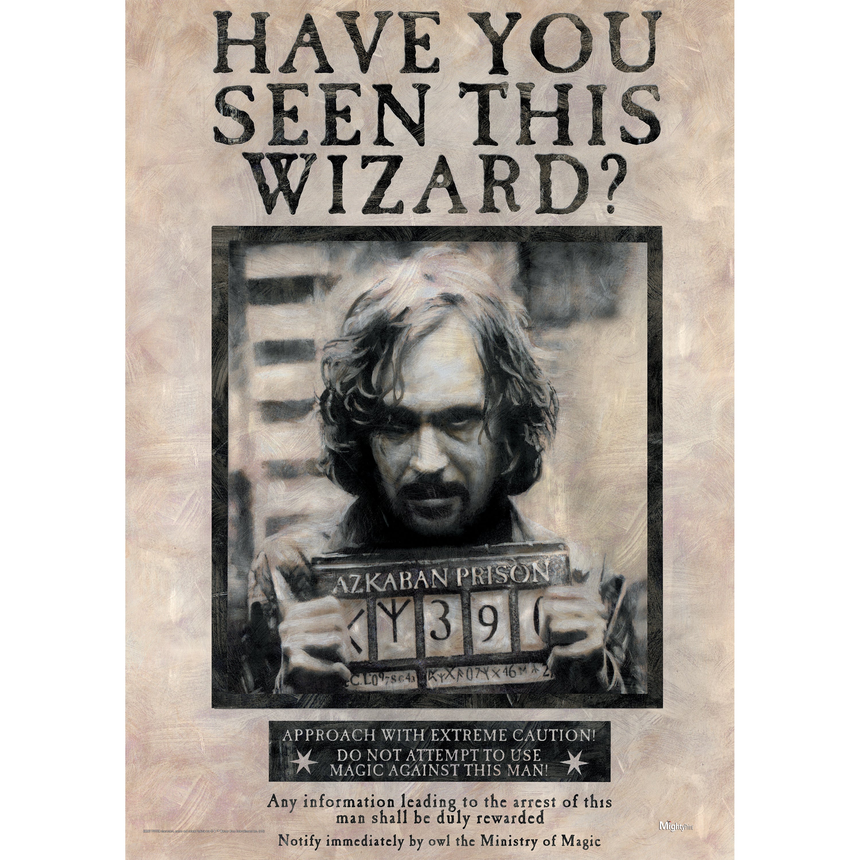 Harry Potter (Sirius Black) MightyPrint™ Wall Art MP17240172