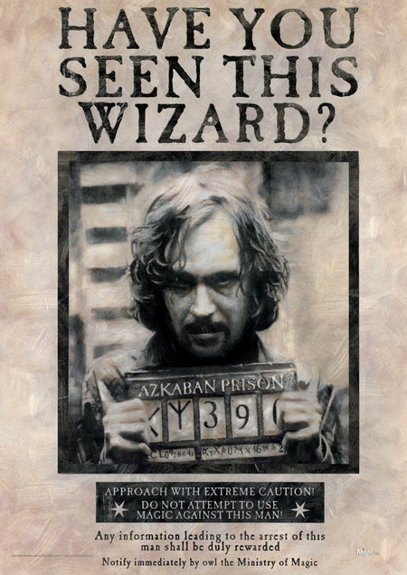 Harry Potter (Sirius Black) MightyPrint™ Wall Art MP17240172