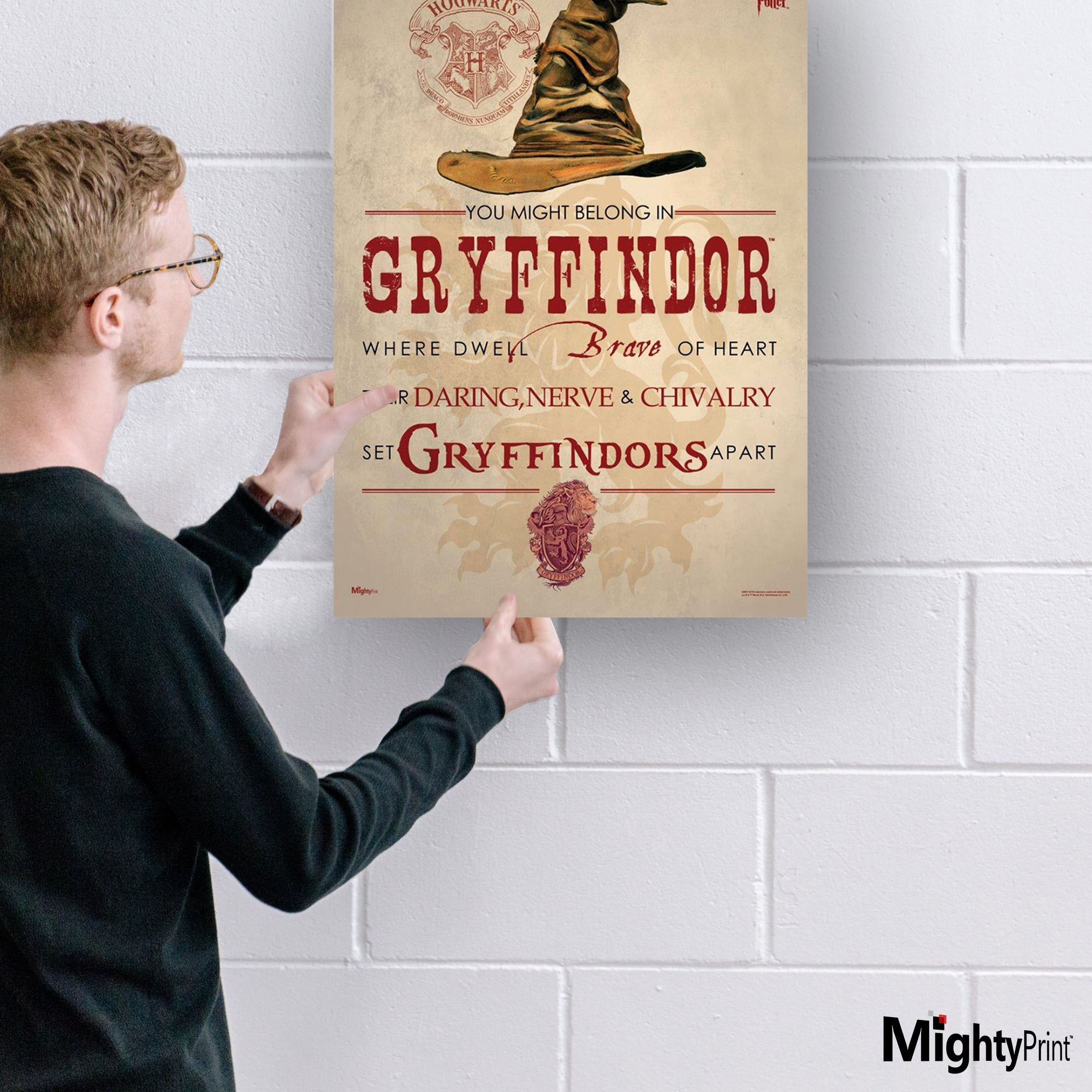 Harry Potter (Sorting Hat Gryffindor) MightyPrint™ Wall Art MP17240182