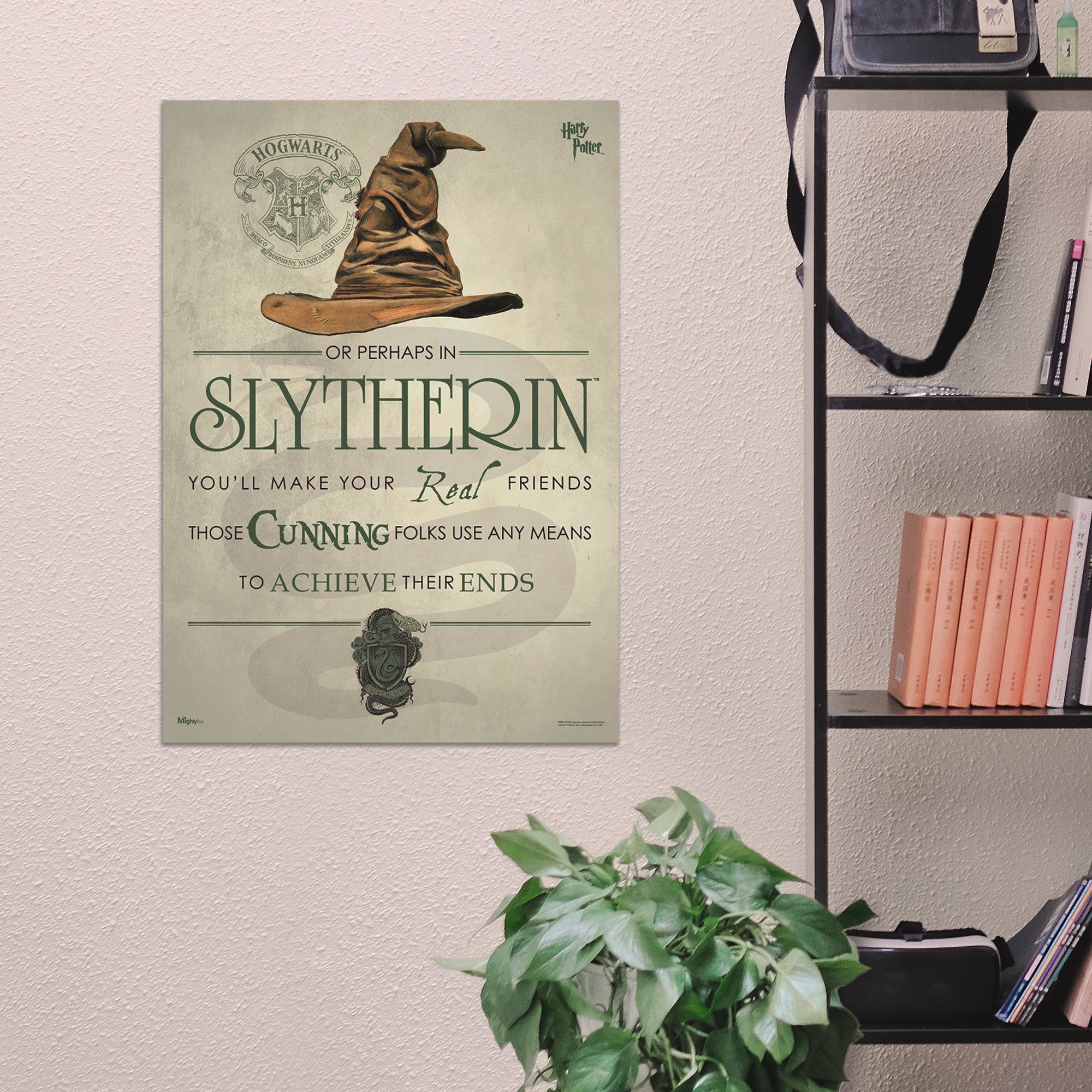 Harry Potter (Sorting Hat Slytherin) MightyPrint™ Wall Art MP17240183