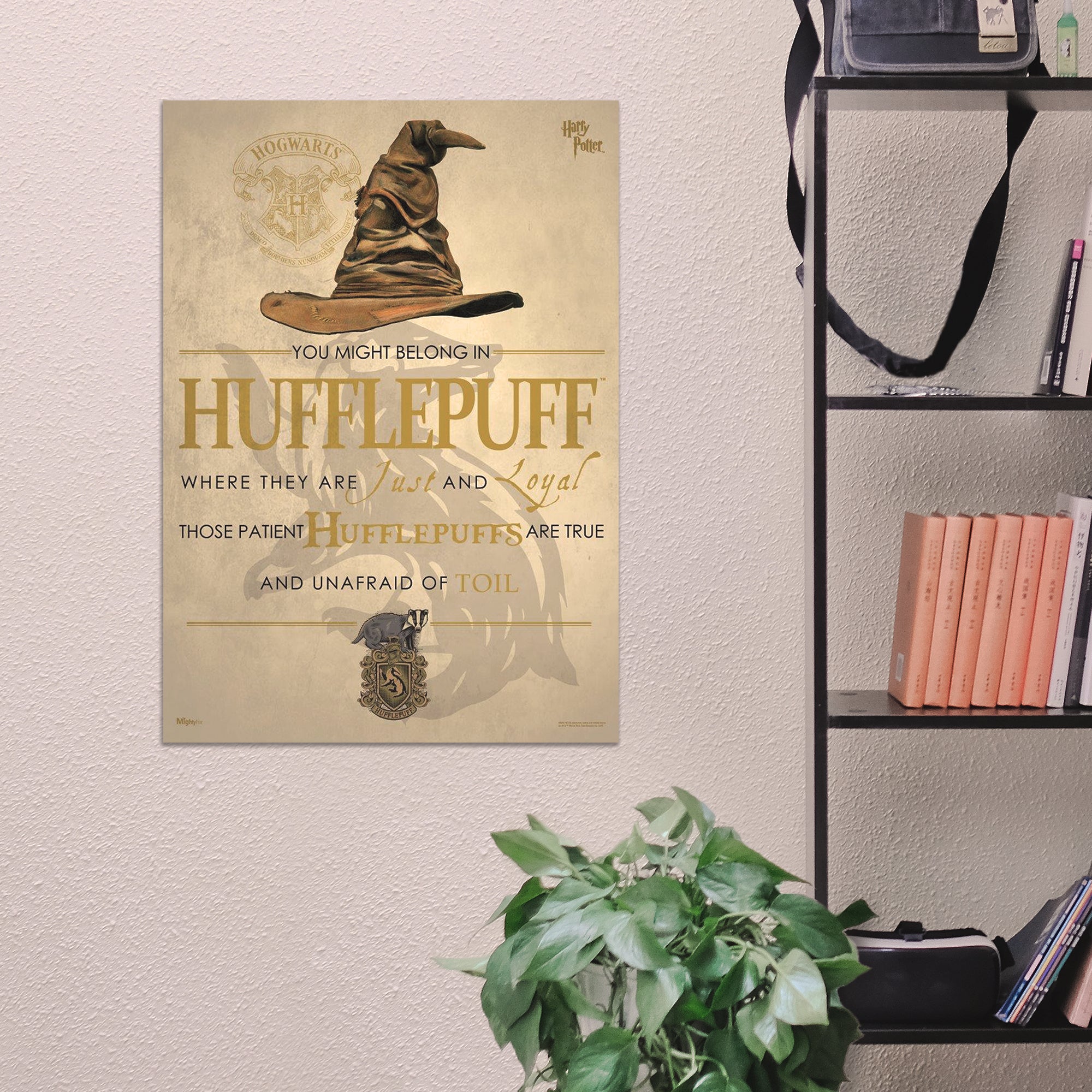Harry Potter (Sorting Hat Hufflepuff) MightyPrint™ Wall Art MP17240184