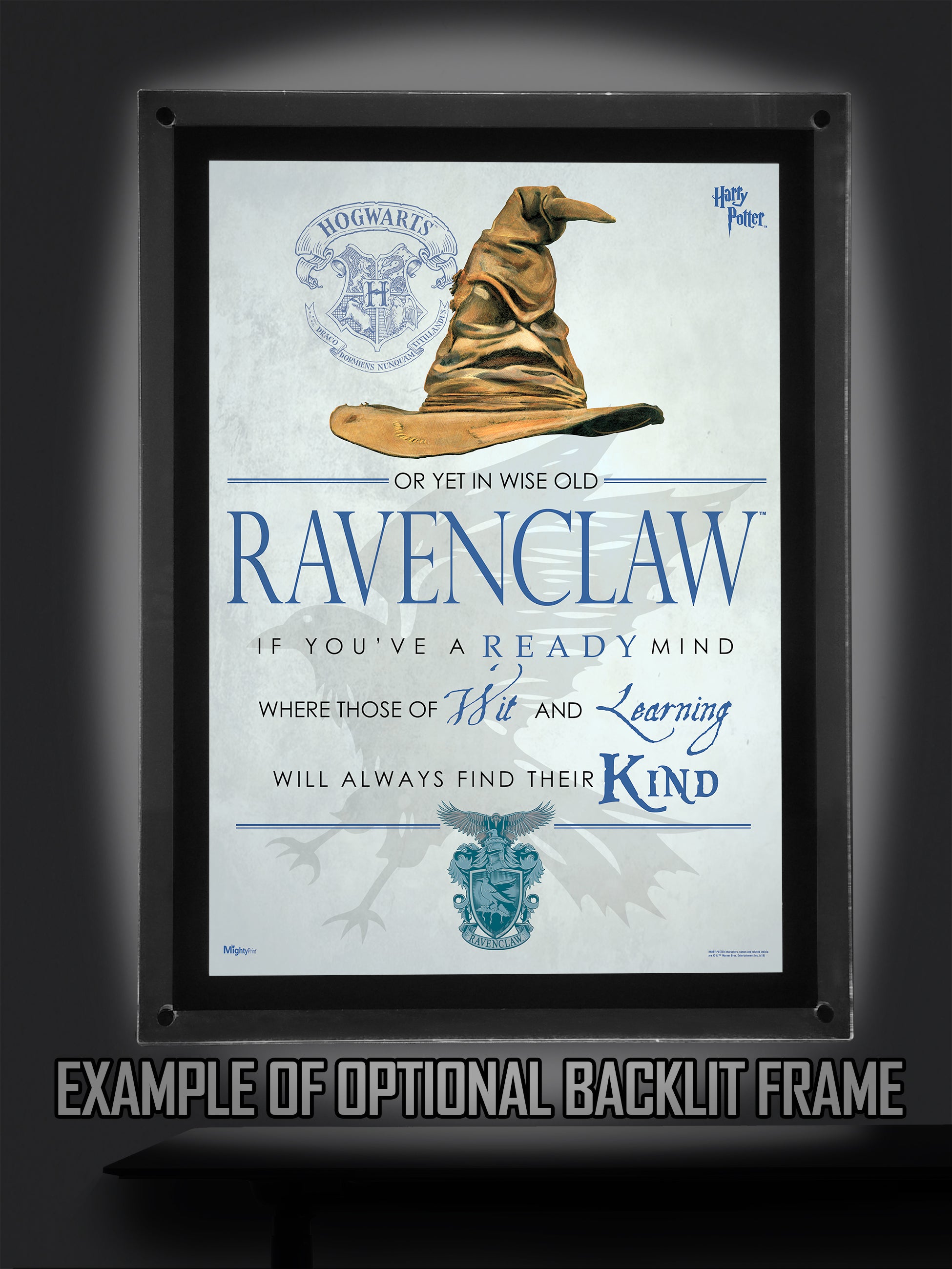 Harry Potter (Sorting Hat Ravenclaw) MightyPrint™ Wall Art MP17240185