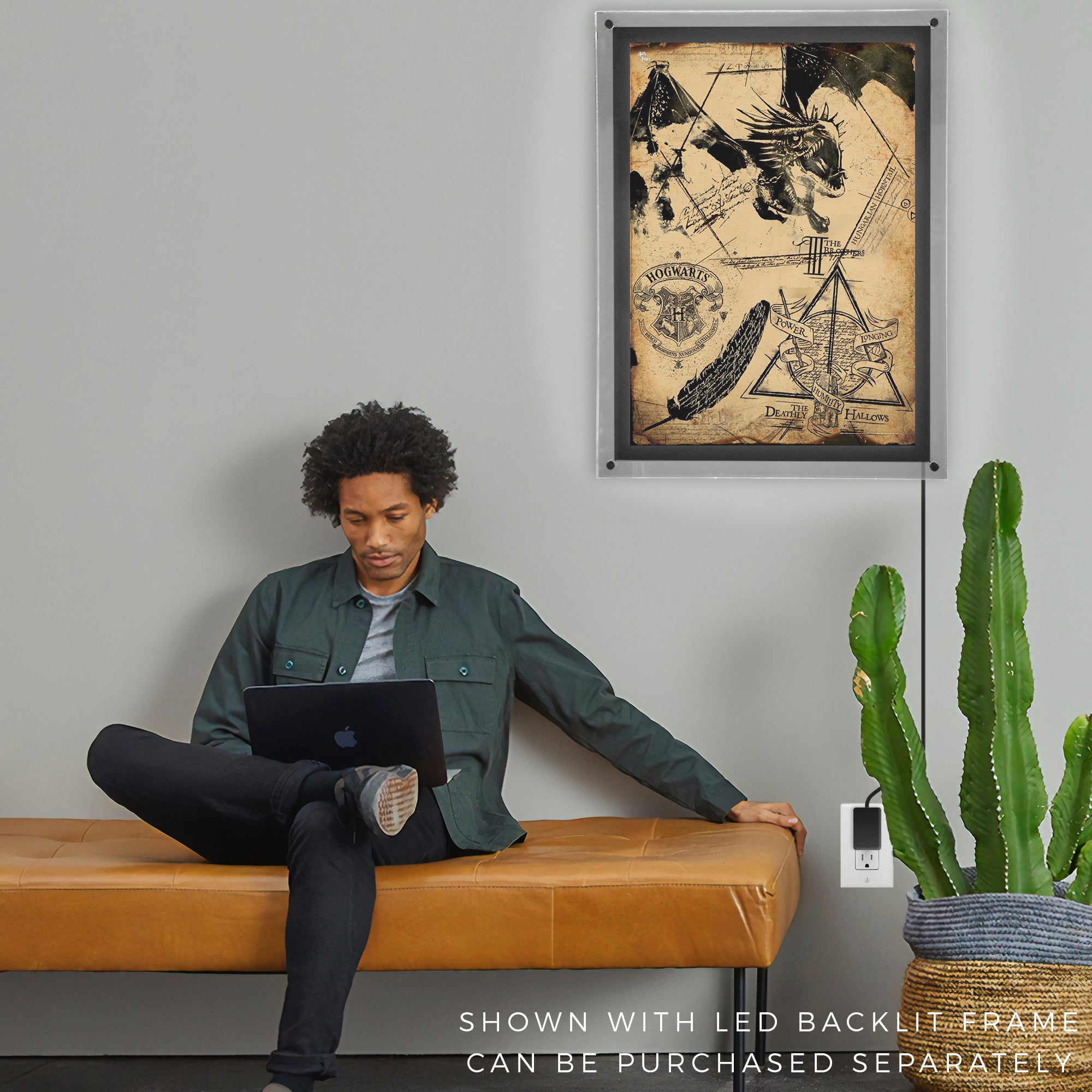 Harry Potter (Deathly Hallows Collage) MightyPrint™ Wall Art MP17240194