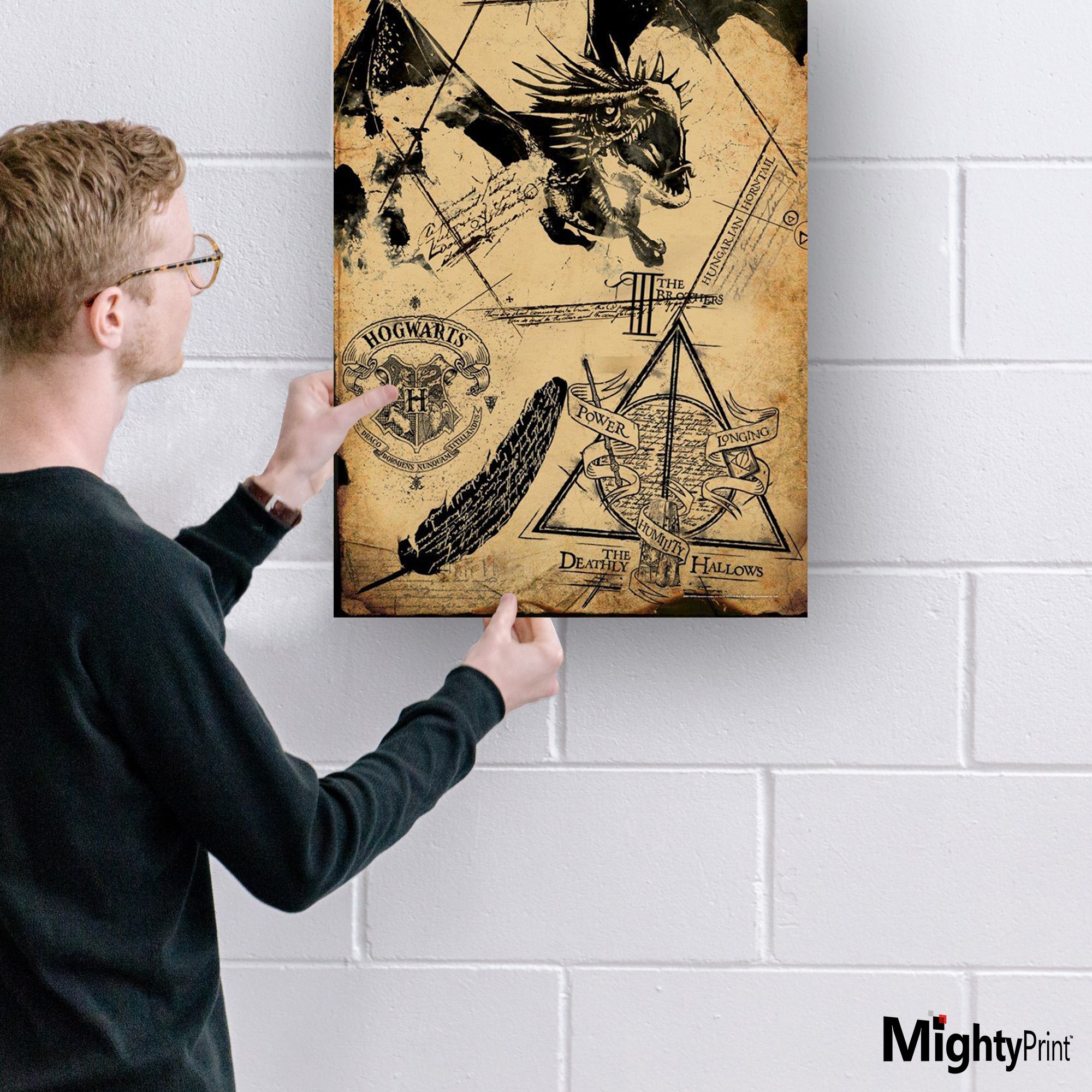 Harry Potter (Deathly Hallows Collage) MightyPrint™ Wall Art MP17240194