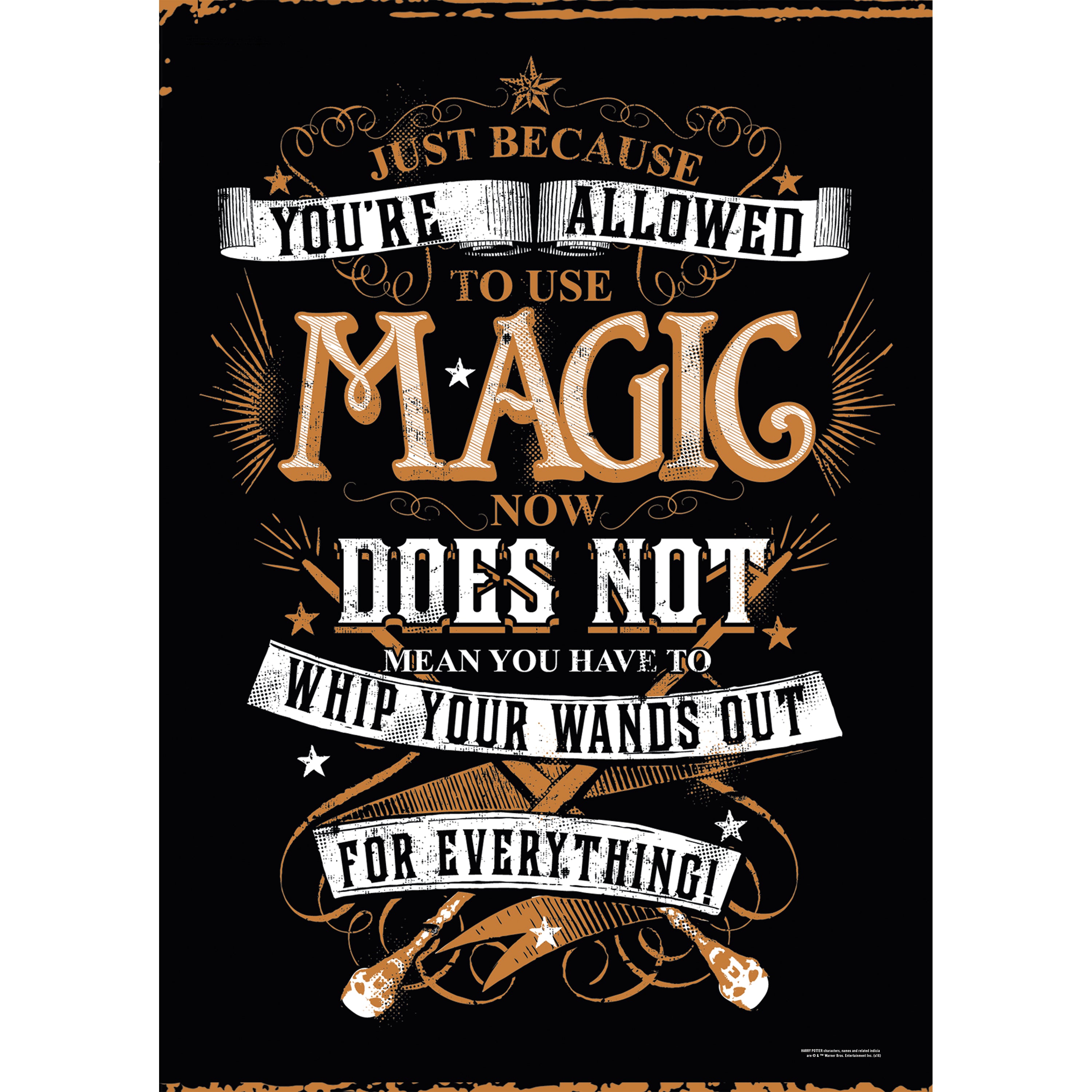 Harry Potter (Whip Out Your Wand) MightyPrint™ Wall Art MP17240196