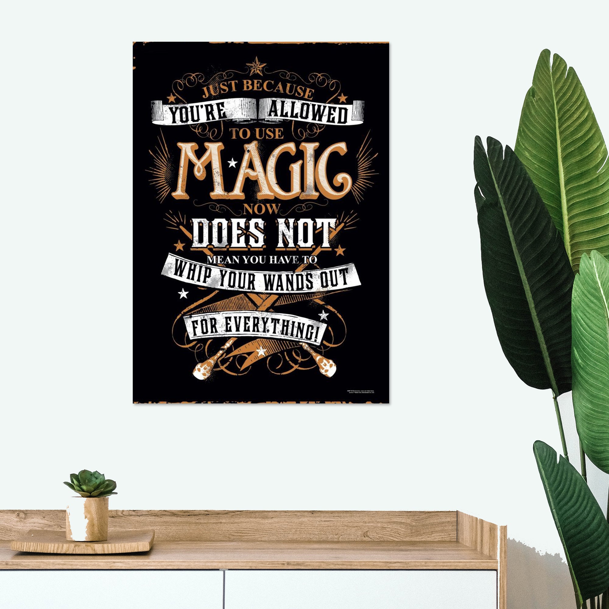 Harry Potter (Whip Out Your Wand) MightyPrint™ Wall Art MP17240196