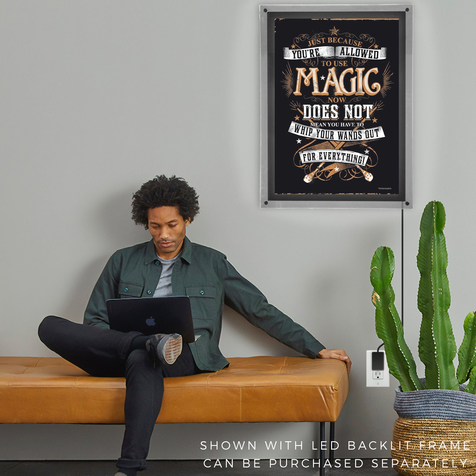 Harry Potter (Whip Out Your Wand) MightyPrint™ Wall Art MP17240196