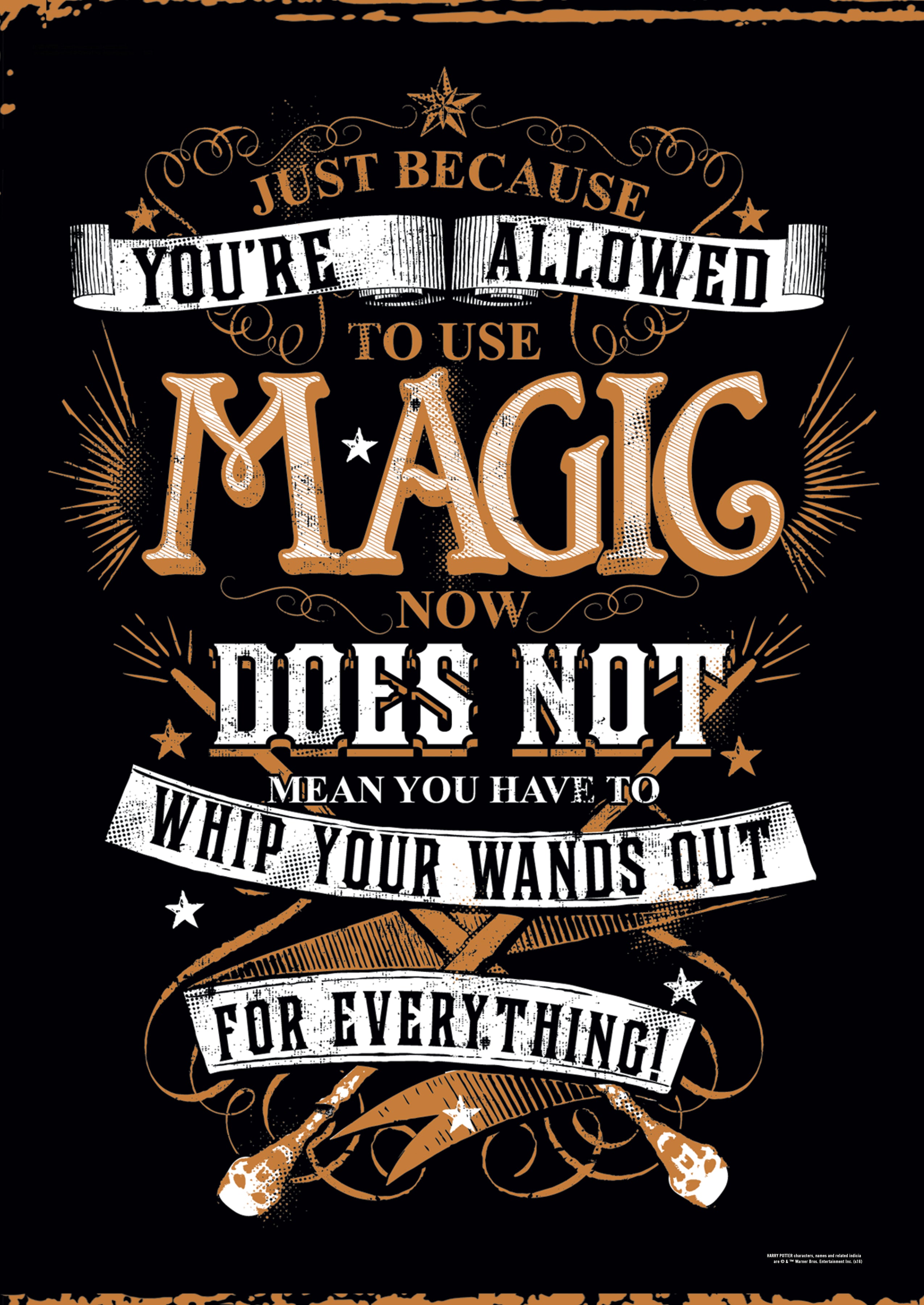 Harry Potter (Whip Out Your Wand) MightyPrint™ Wall Art MP17240196