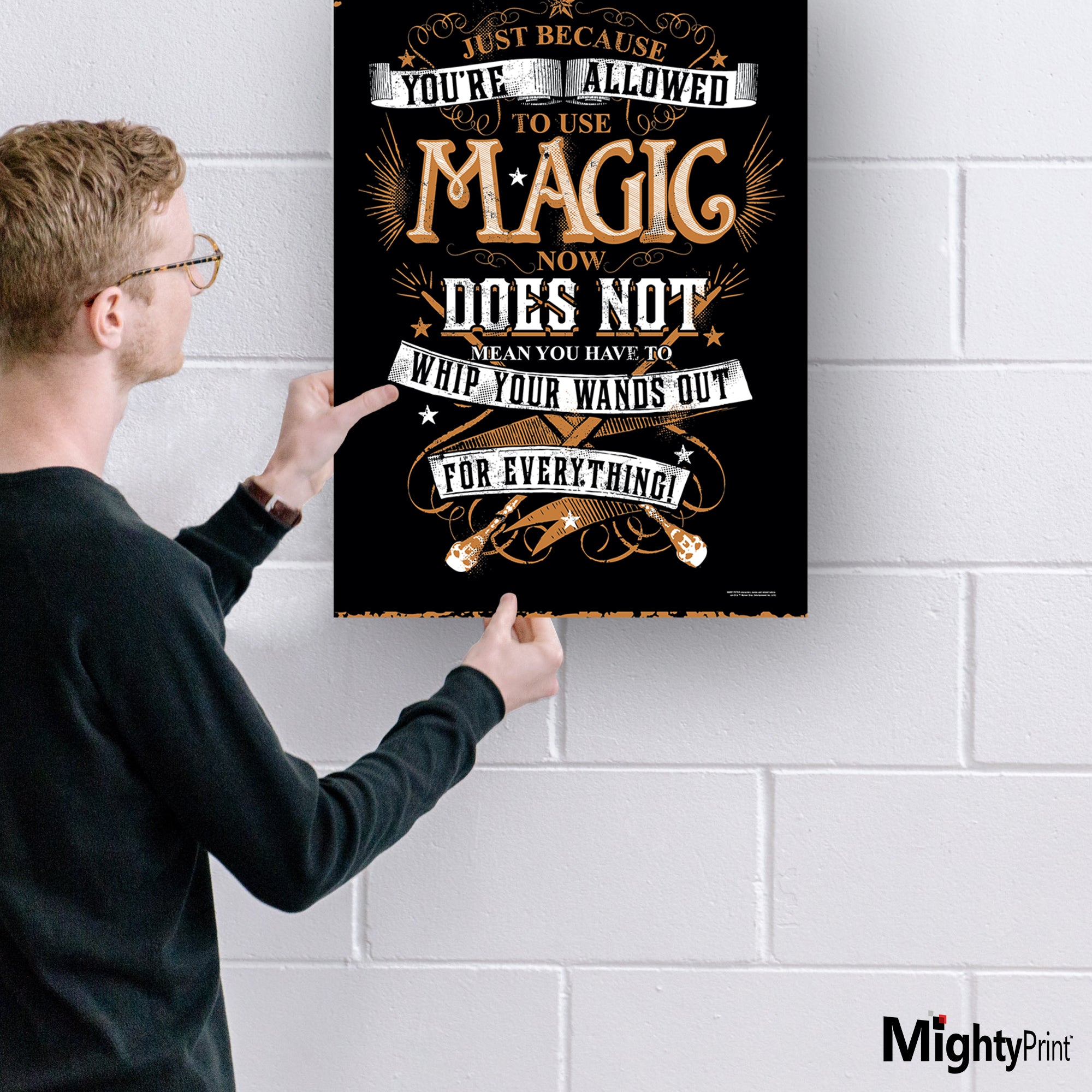 Harry Potter (Whip Out Your Wand) MightyPrint™ Wall Art MP17240196