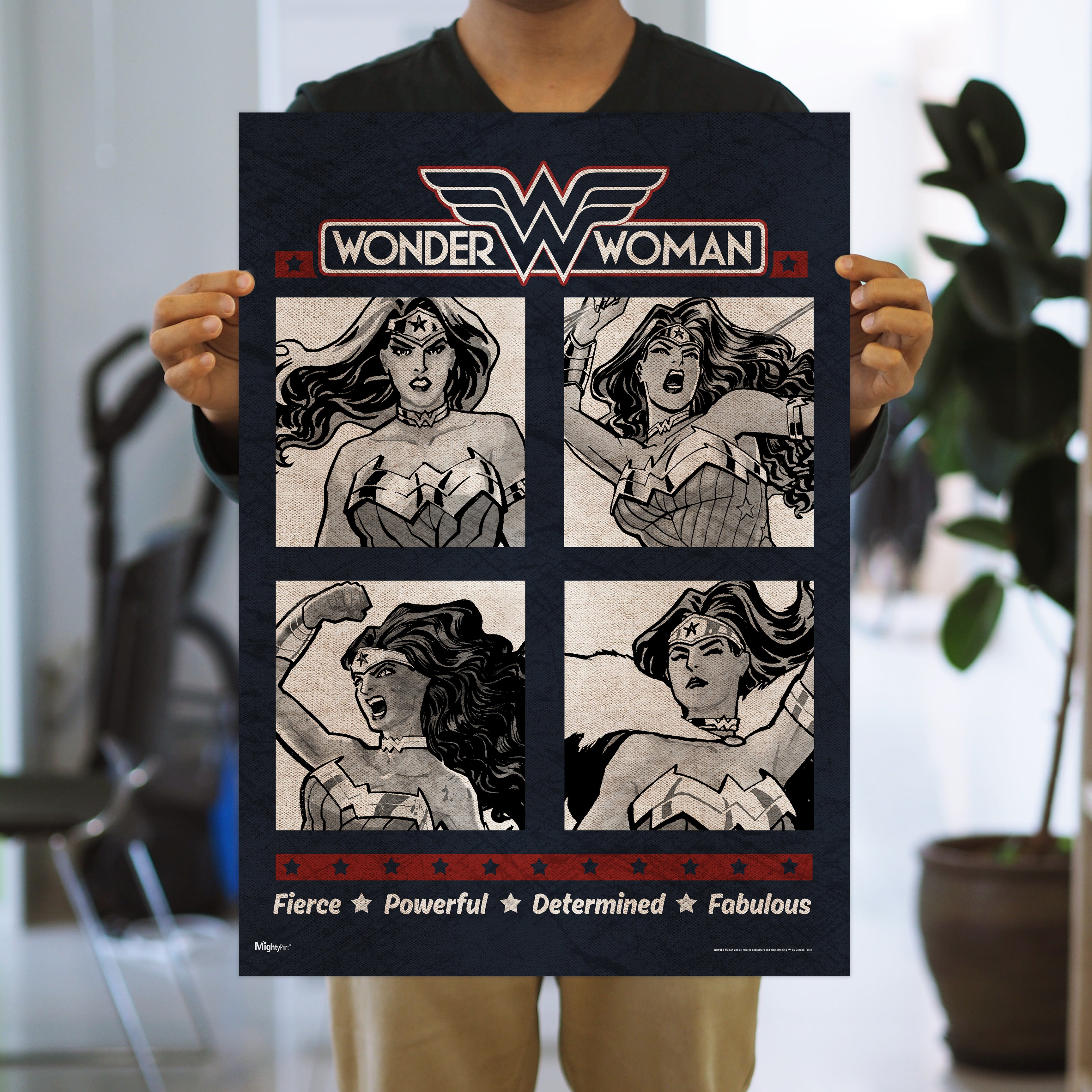 DC Comics (Wonder Woman - Fabulous) MightyPrint™ Wall Art MP17240245