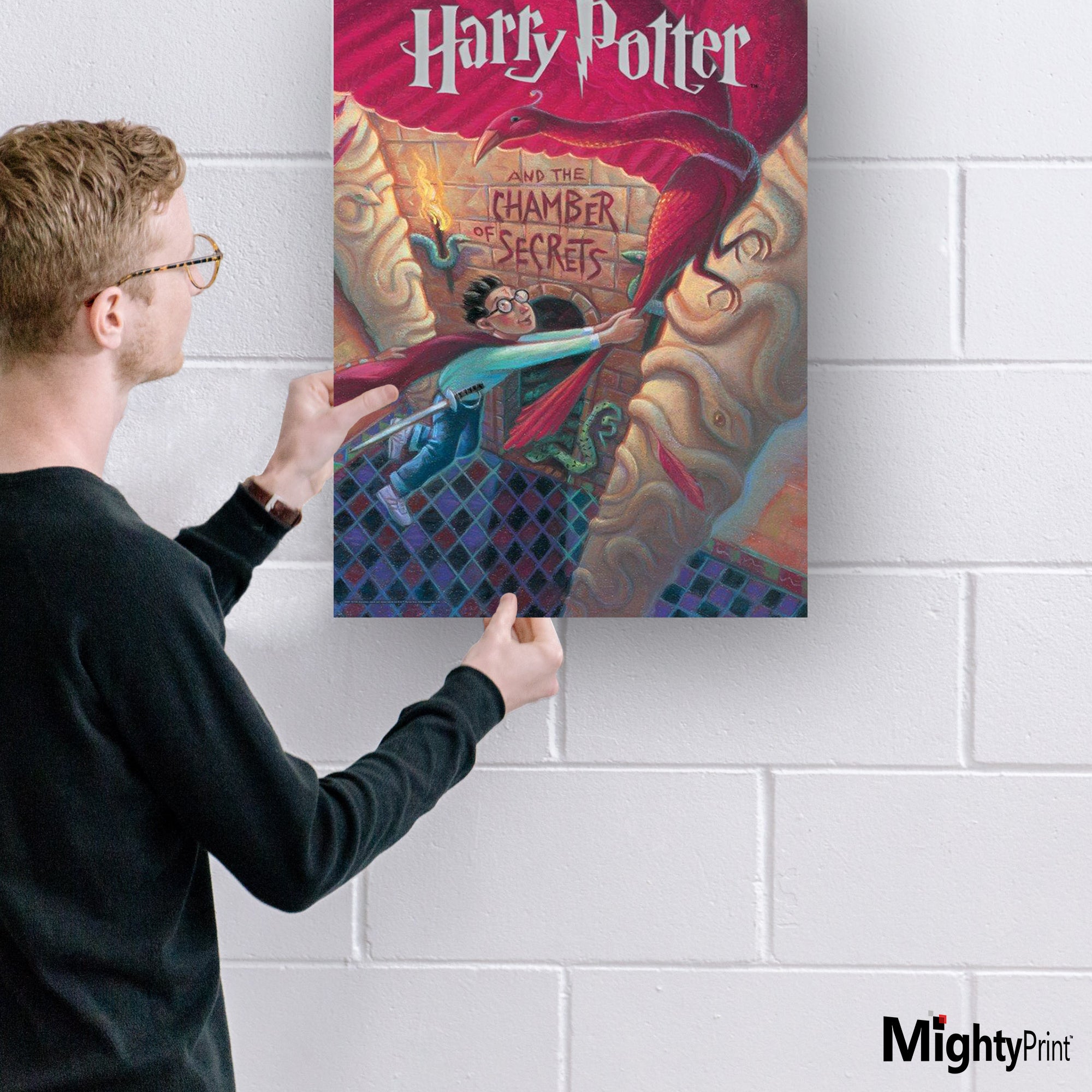 Harry Potter (Book Cover - Chamber of Secrets) MightyPrint™ Wall Art MP17240253