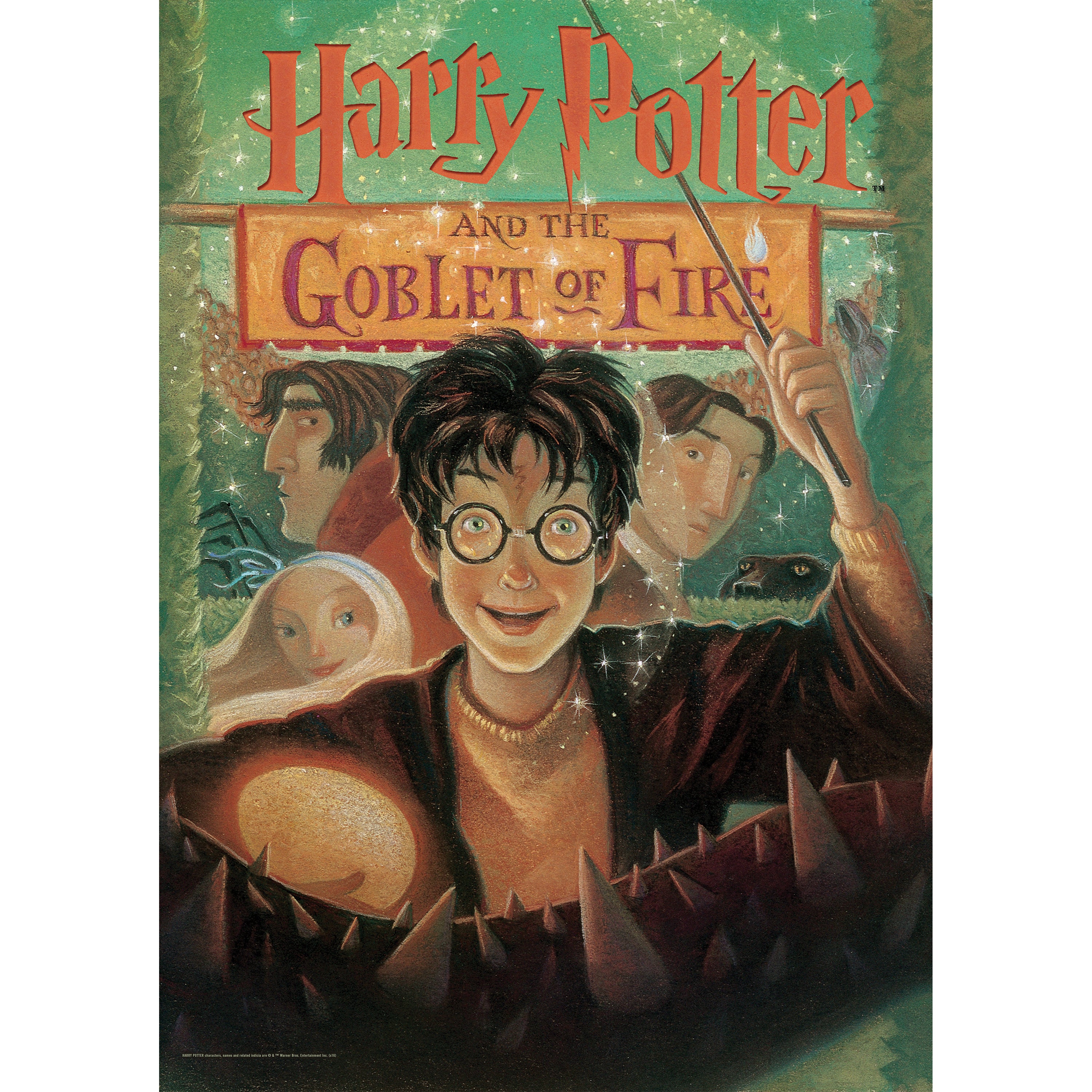 Harry Potter (Book Cover - Goblet of Fire) MightyPrint™ Wall Art MP17240255