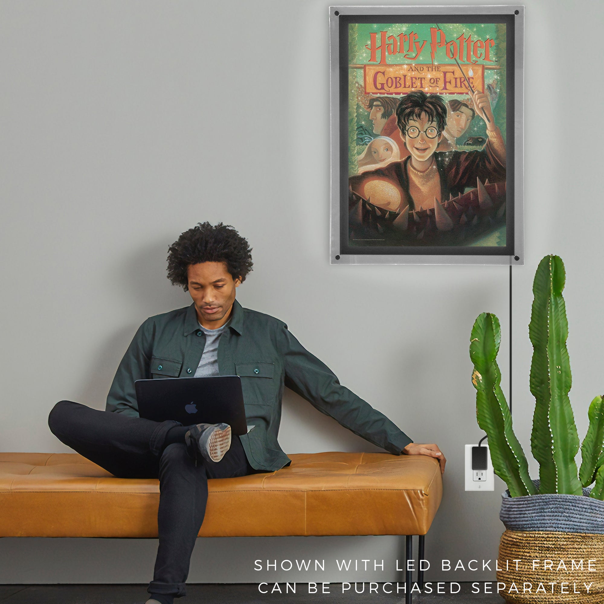 Harry Potter (Book Cover - Goblet of Fire) MightyPrint™ Wall Art MP17240255