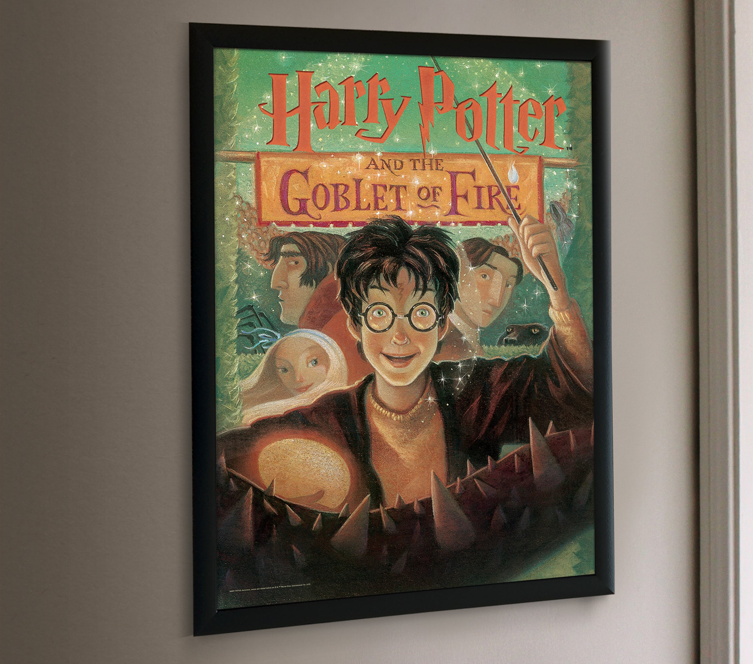 Harry Potter (Book Cover - Goblet of Fire) MightyPrint™ Wall Art MP17240255
