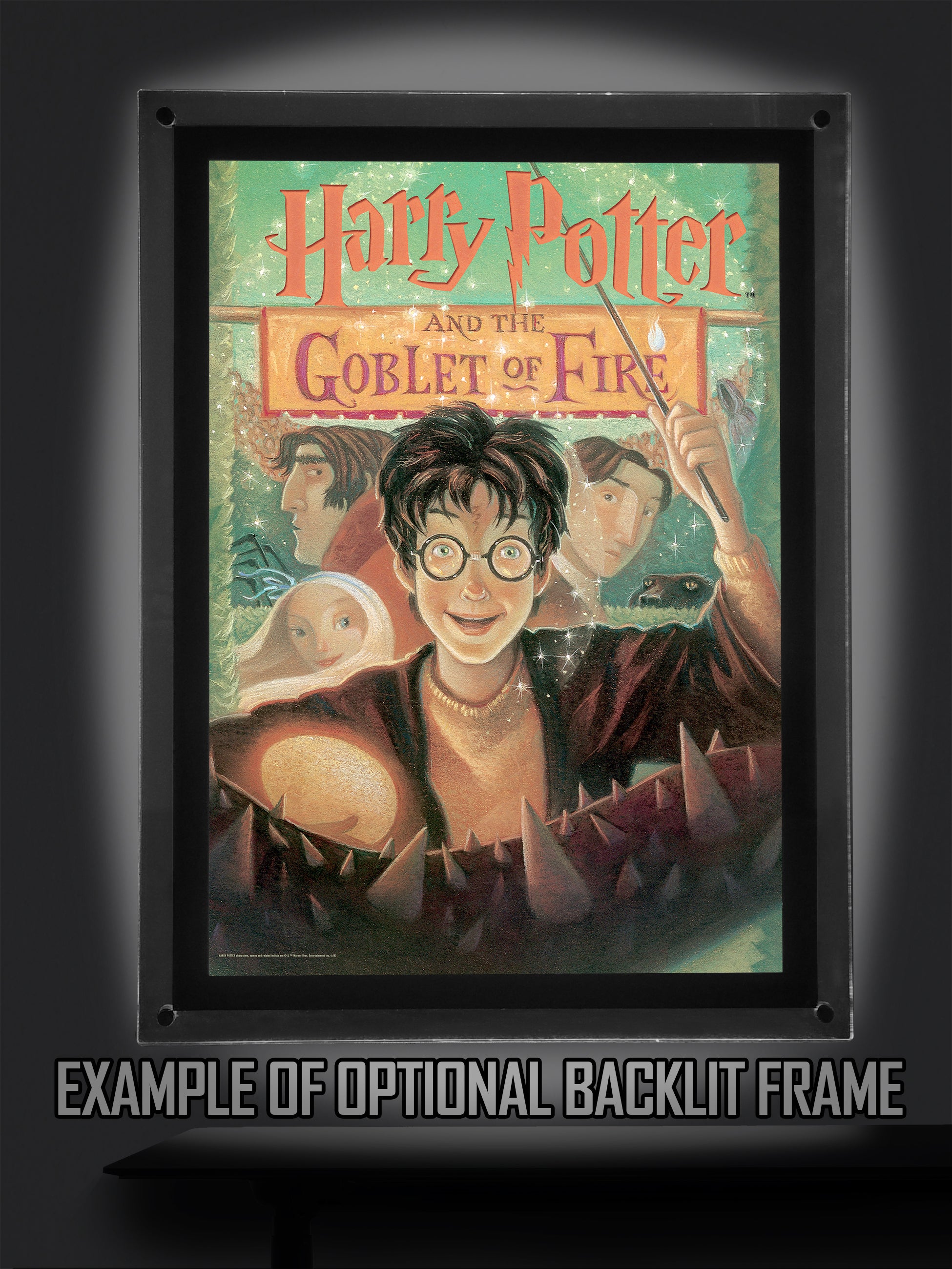Harry Potter (Book Cover - Goblet of Fire) MightyPrint™ Wall Art MP17240255