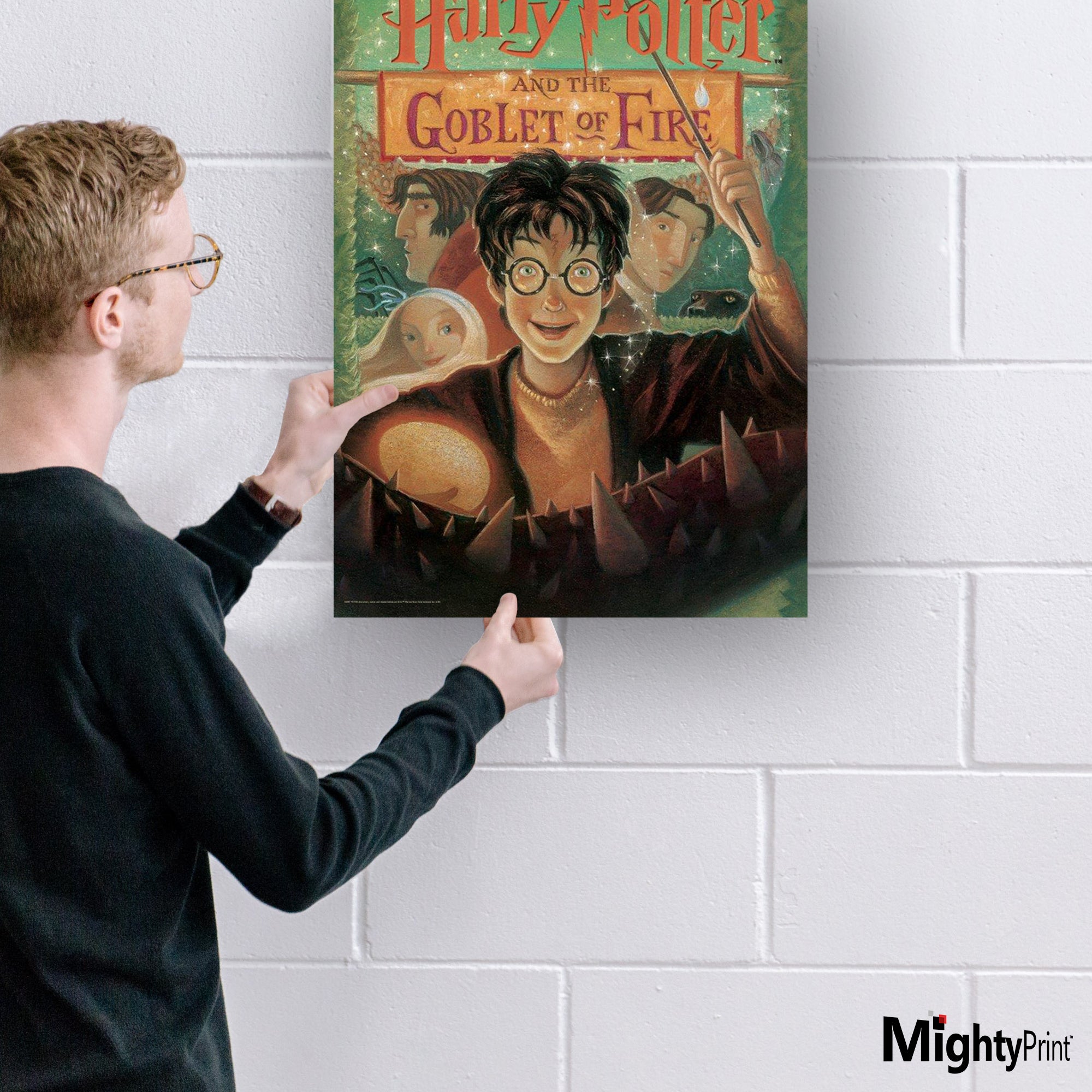 Harry Potter (Book Cover - Goblet of Fire) MightyPrint™ Wall Art MP17240255