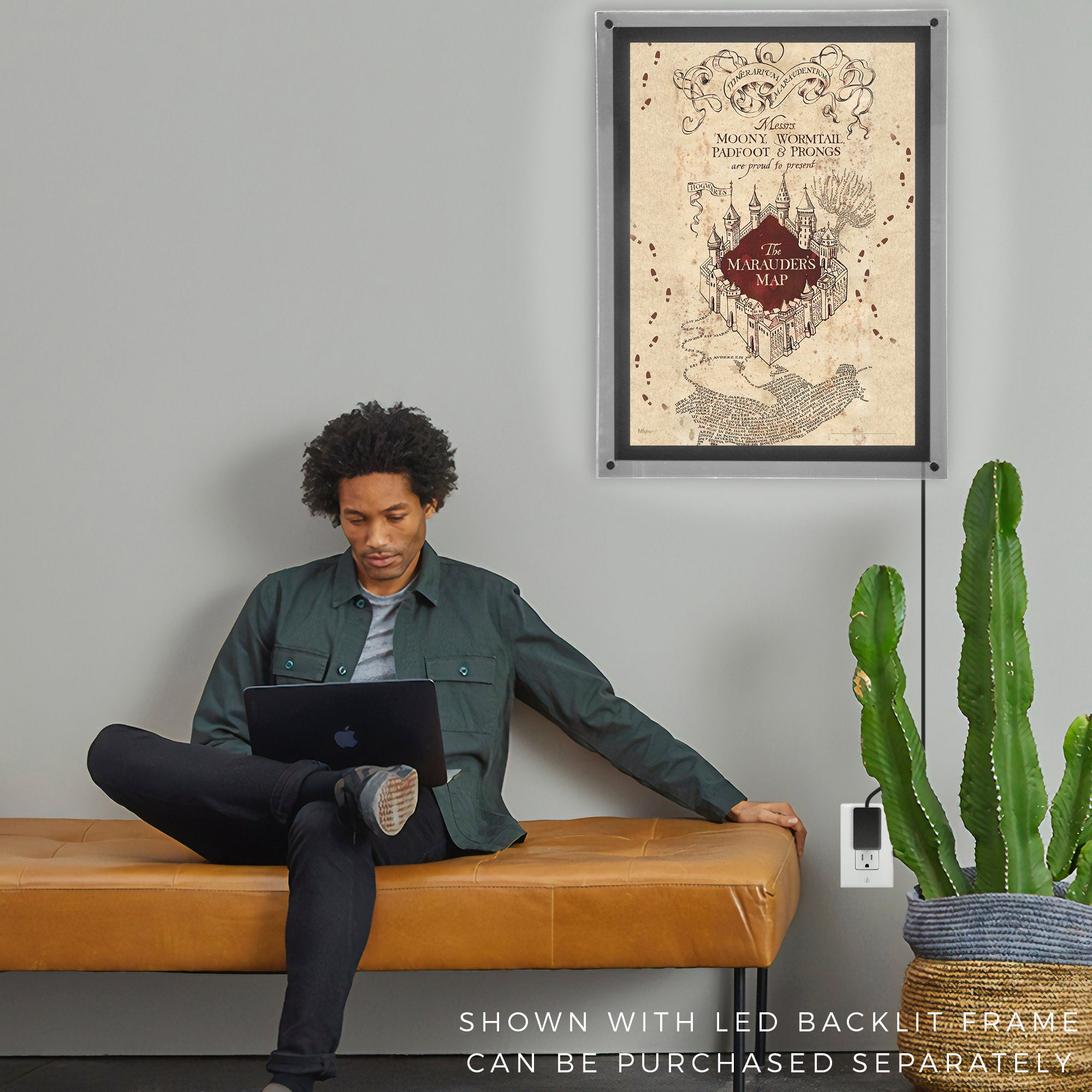 Harry Potter (Marauders Map) MightyPrint™ Wall Art MP17240259