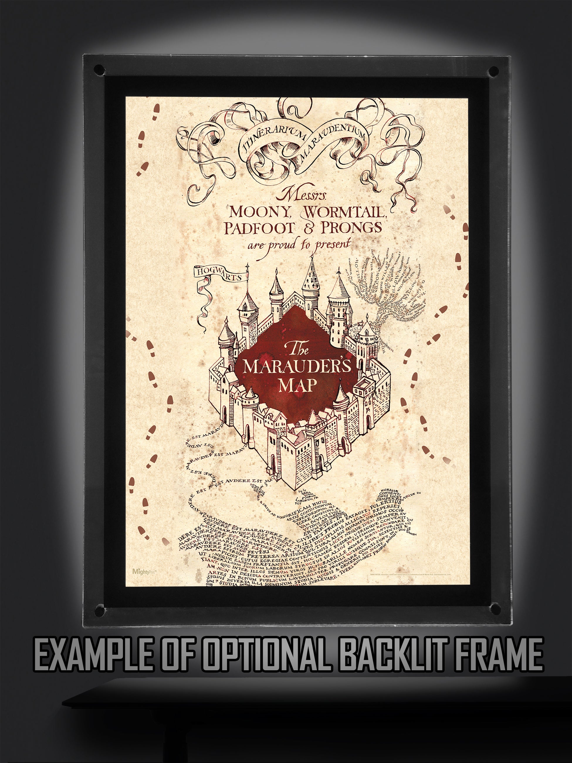 Harry Potter (Marauders Map) MightyPrint™ Wall Art MP17240259