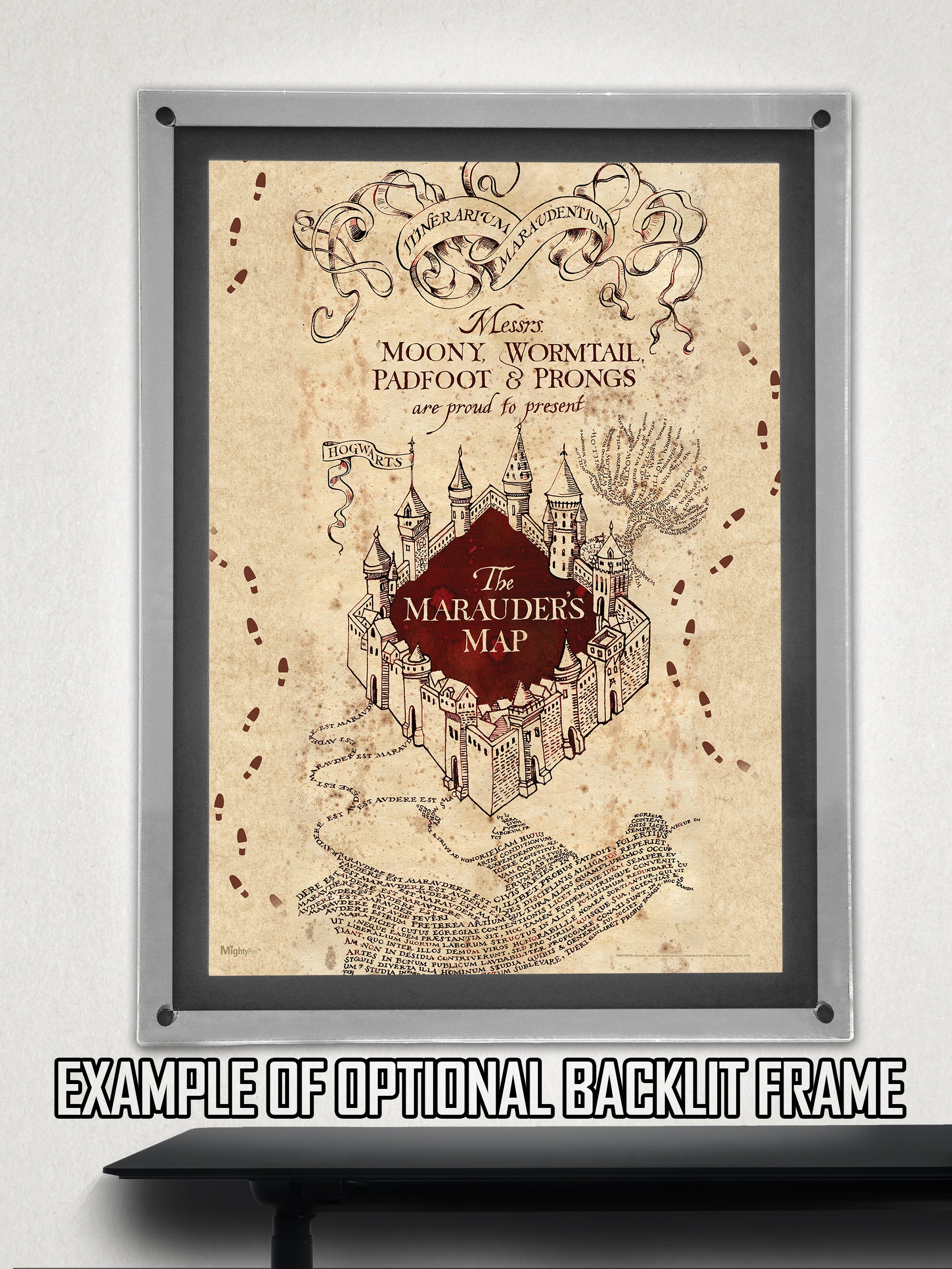 Harry Potter (Marauders Map) MightyPrint™ Wall Art MP17240259