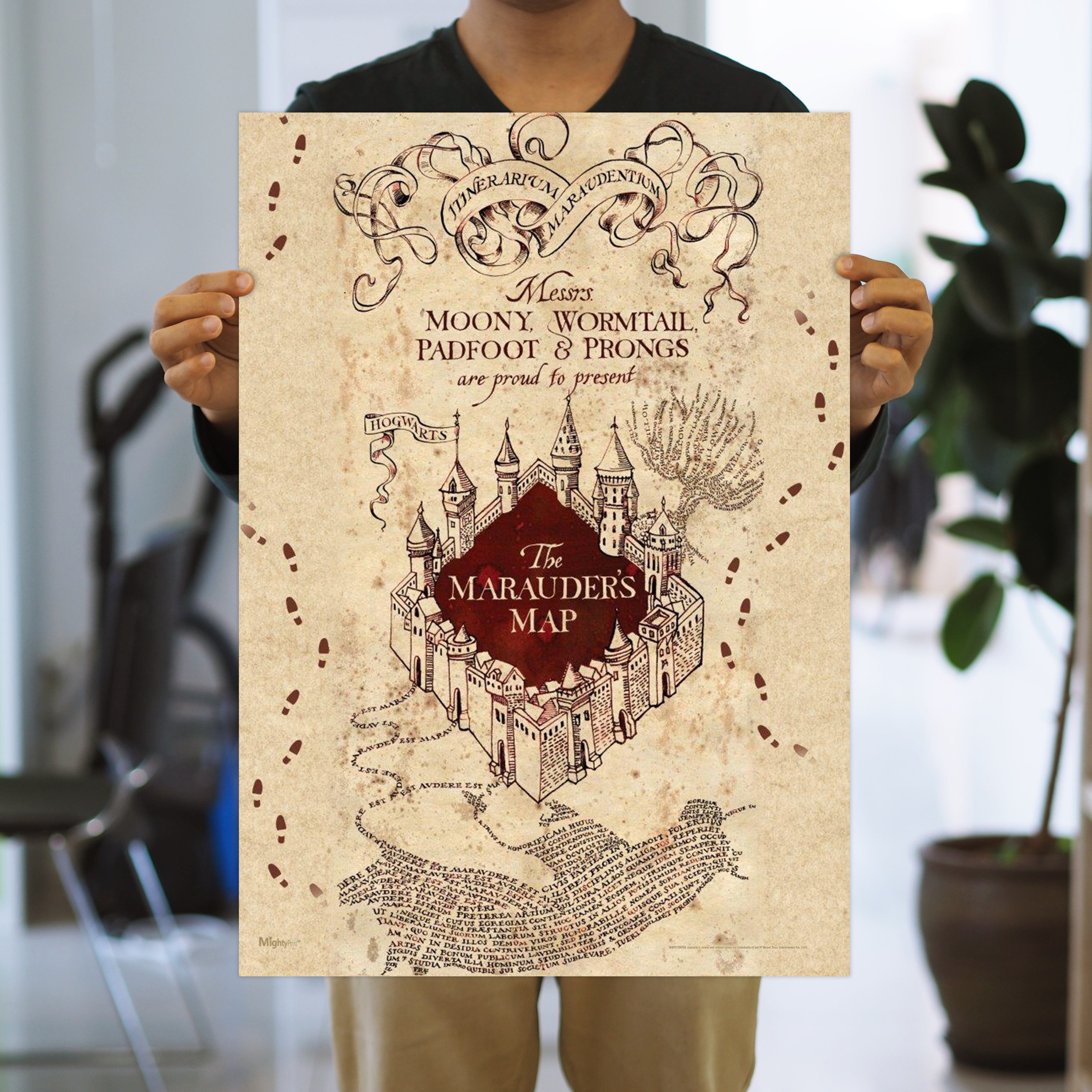 Harry Potter (Marauders Map) MightyPrint™ Wall Art MP17240259