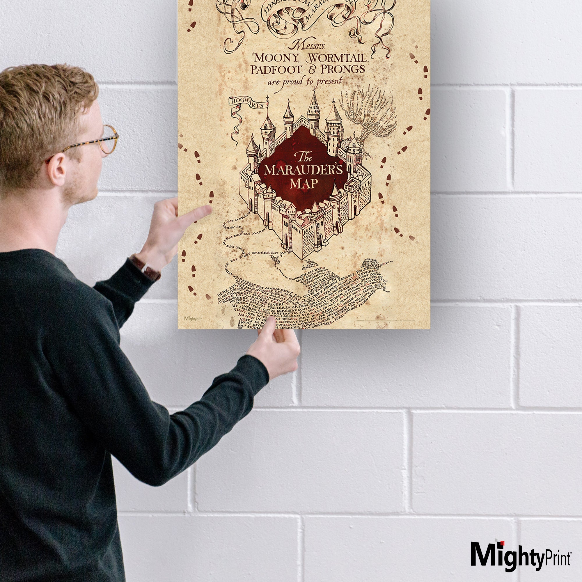 Harry Potter (Marauders Map) MightyPrint™ Wall Art MP17240259