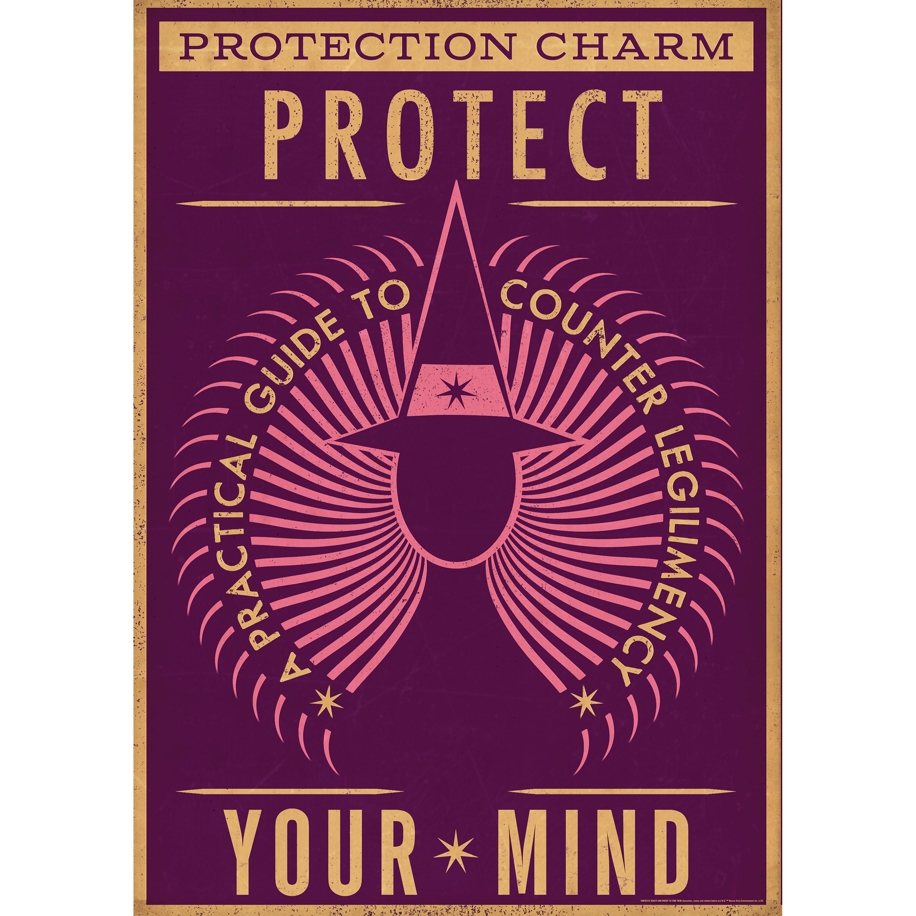Fantastic Beasts and Where to Find Them(Protection Charm) MightyPrint™ Wall Art MP17240264
