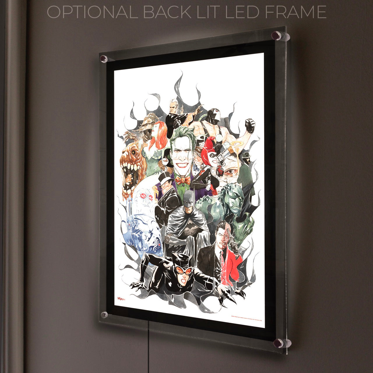 DC Comics (Rogues Gallery) MightyPrint™ Wall Art MP17240281