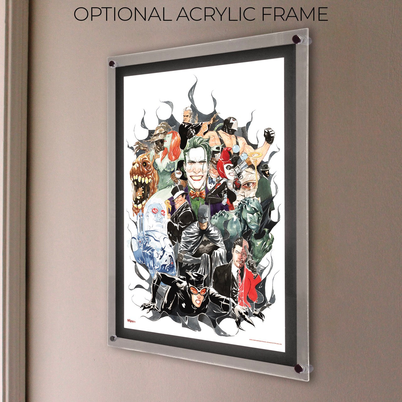 DC Comics (Rogues Gallery) MightyPrint™ Wall Art MP17240281