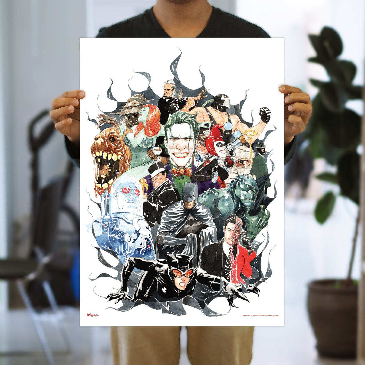 DC Comics (Rogues Gallery) MightyPrint™ Wall Art MP17240281