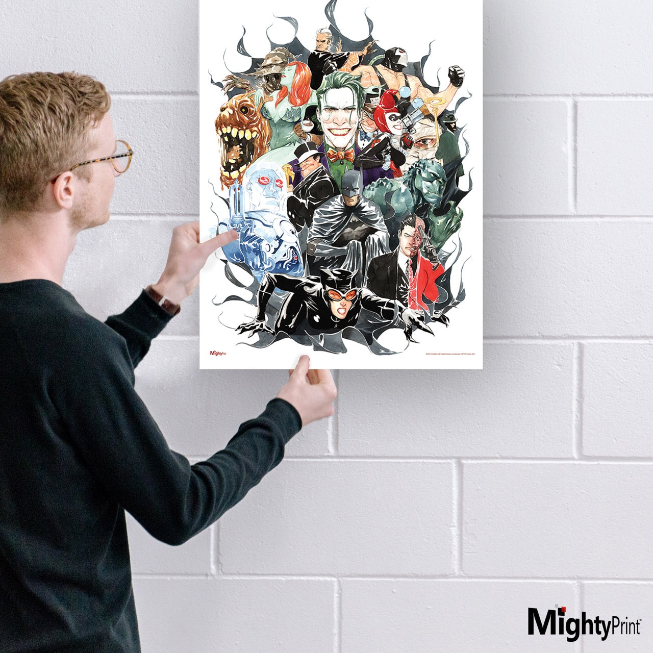 DC Comics (Rogues Gallery) MightyPrint™ Wall Art MP17240281