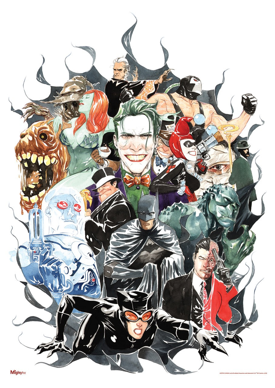 DC Comics (Rogues Gallery) MightyPrint™ Wall Art MP17240281