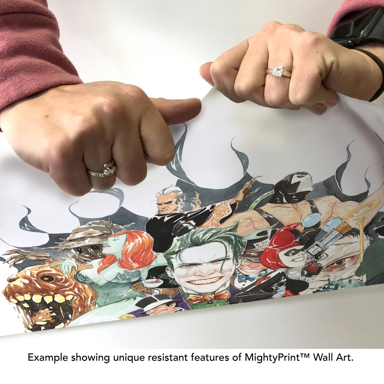 DC Comics (Rogues Gallery) MightyPrint™ Wall Art MP17240281