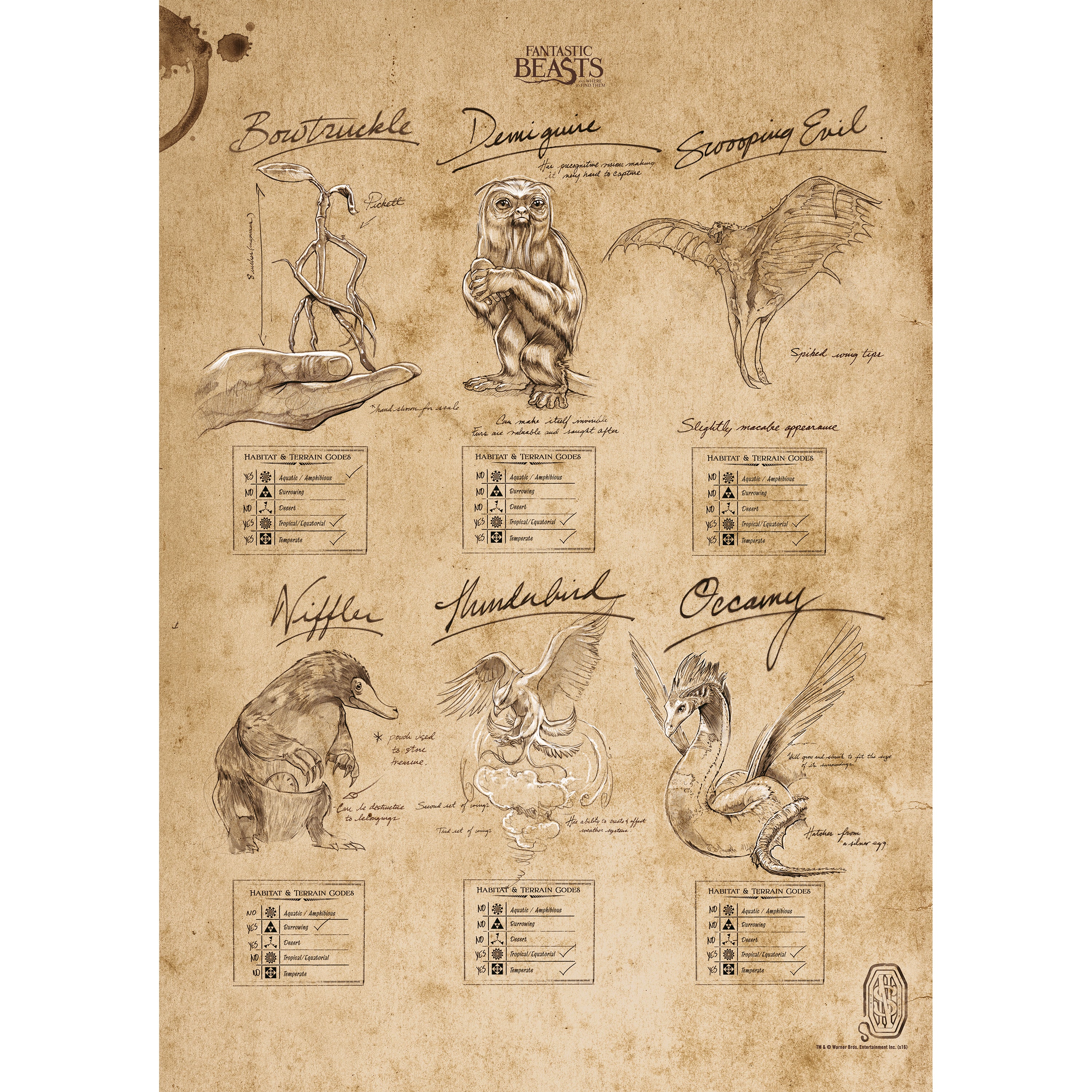 Fantastic Beasts and Where To Find Them (Beasts Sketchbook) MightyPrint™ Wall Art MP17240291
