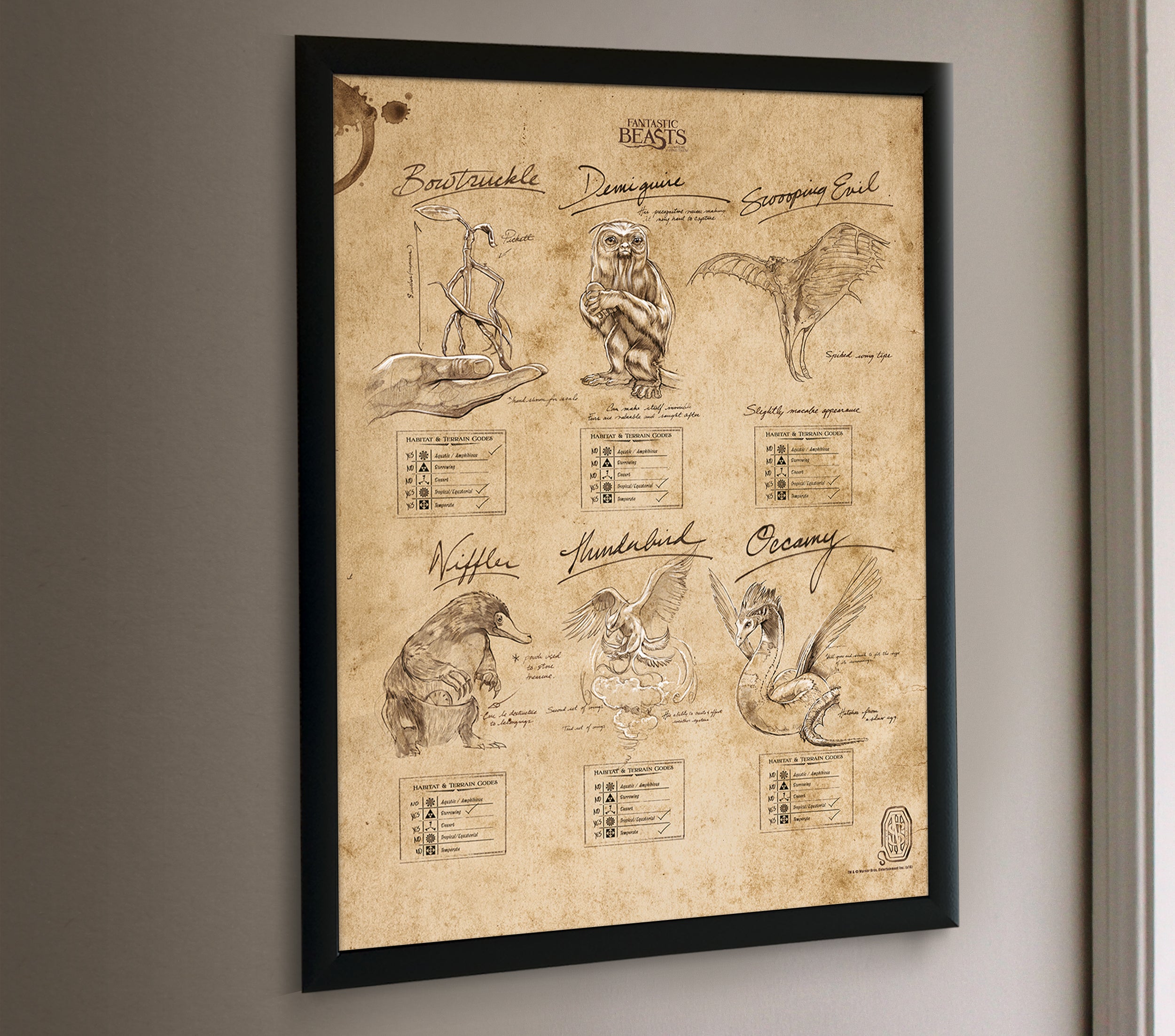 Fantastic Beasts and Where To Find Them (Beasts Sketchbook) MightyPrint™ Wall Art MP17240291