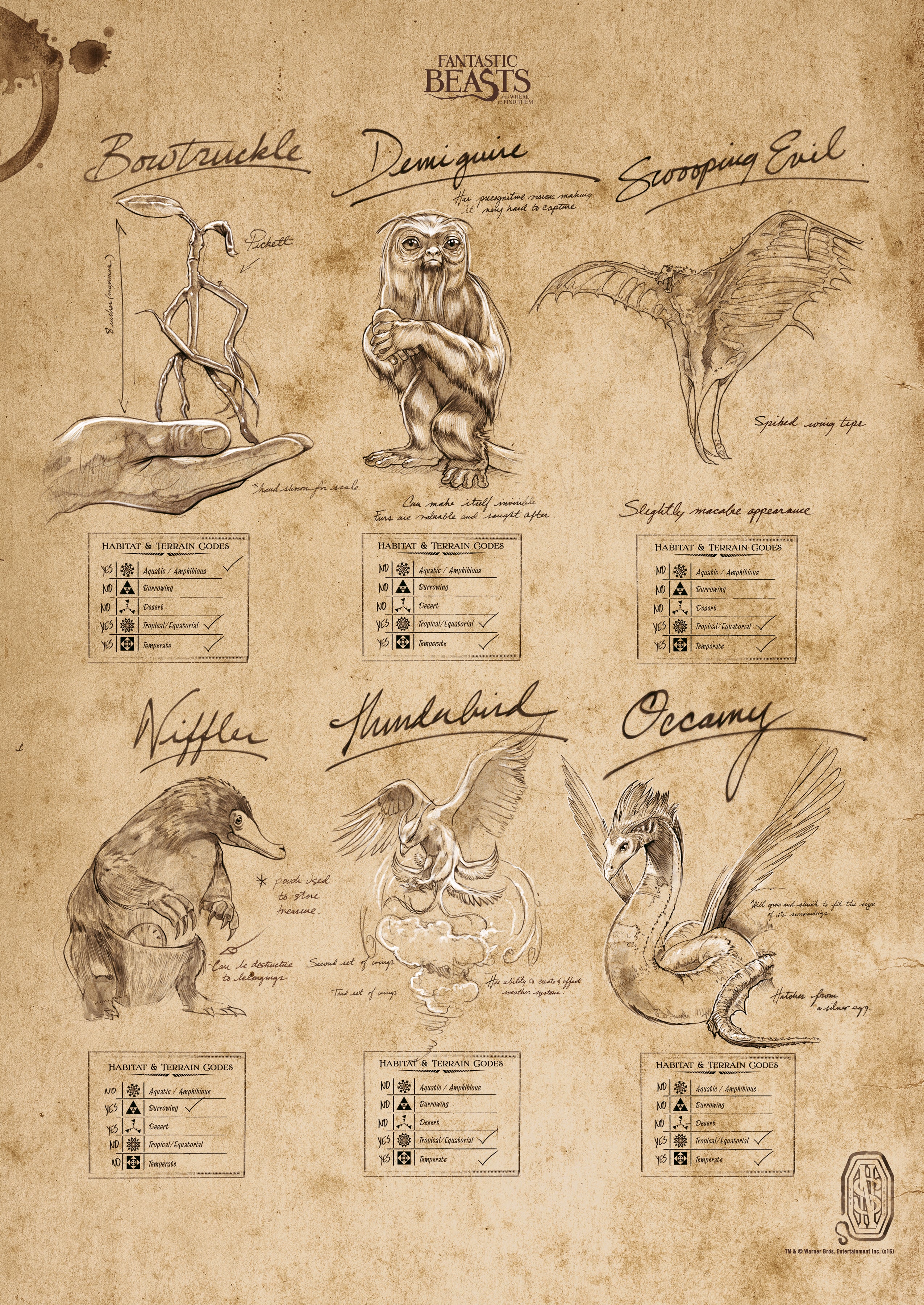 Fantastic Beasts and Where To Find Them (Beasts Sketchbook) MightyPrint™ Wall Art MP17240291