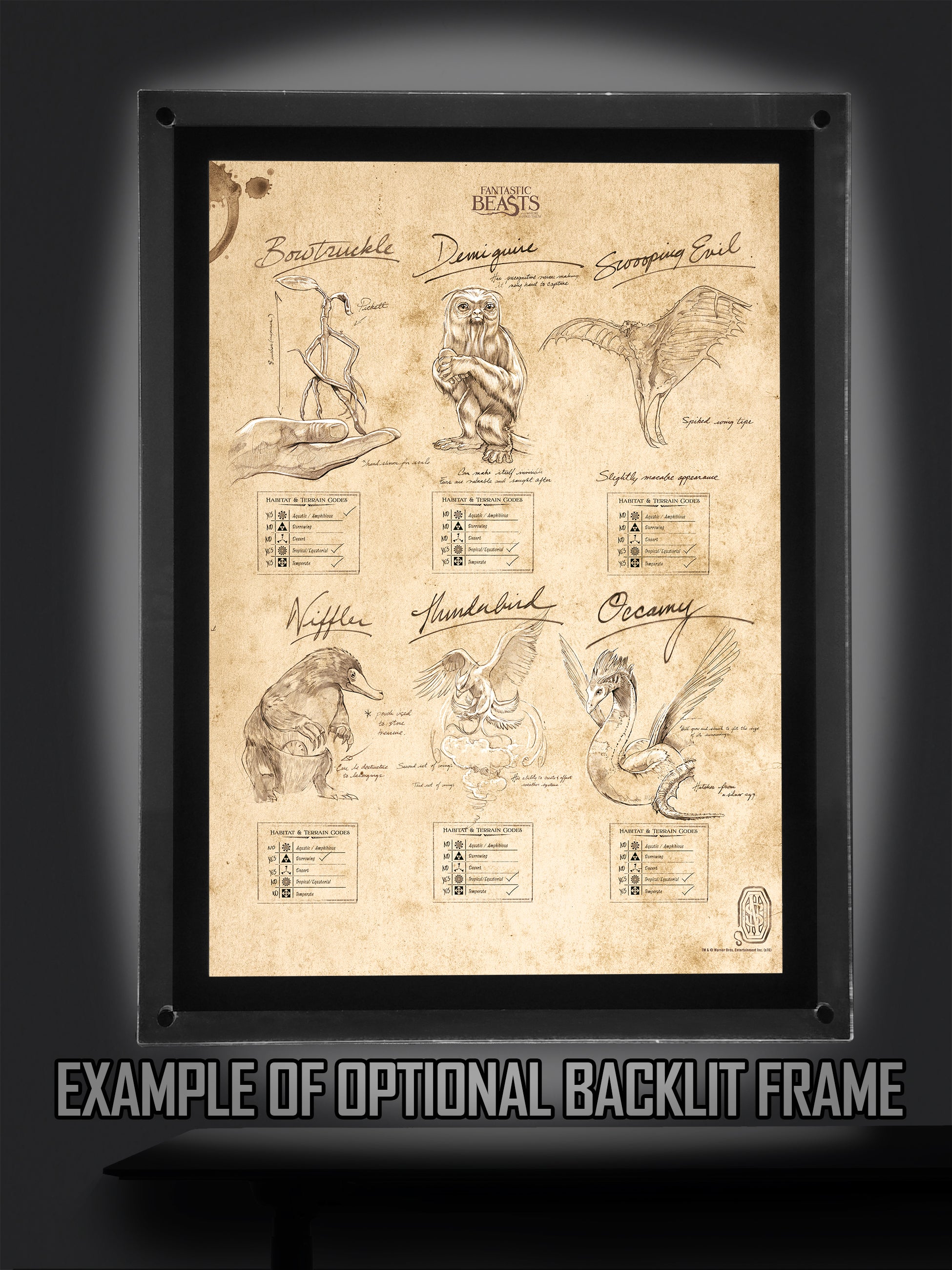 Fantastic Beasts and Where To Find Them (Beasts Sketchbook) MightyPrint™ Wall Art MP17240291
